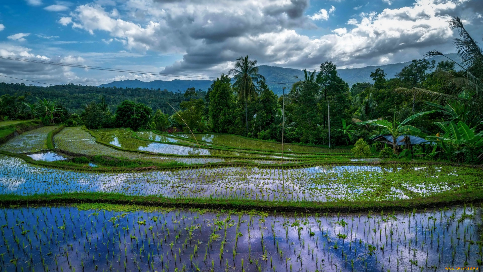 индонезия, природа, тропики, горы, облака, деревья, водоем