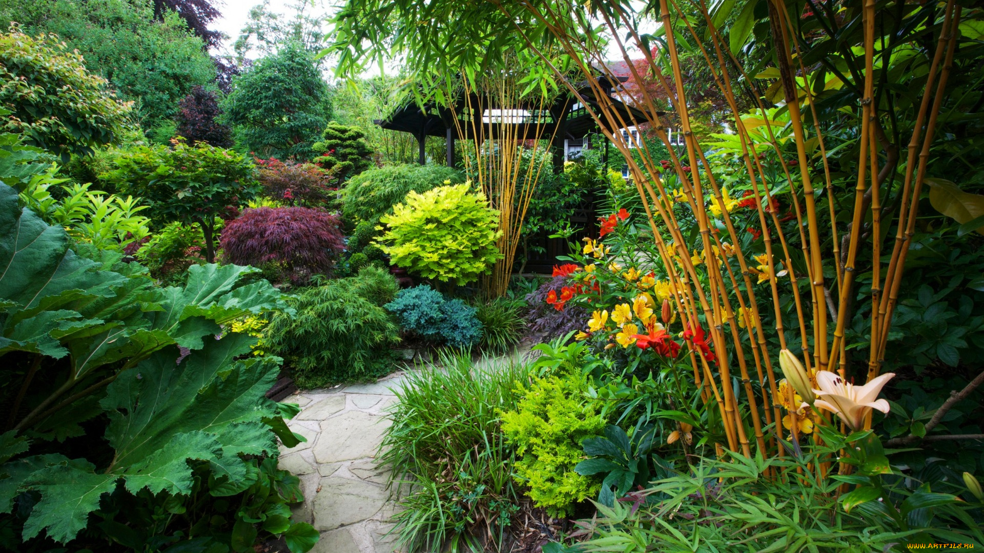 природа, парк, сад, цветы