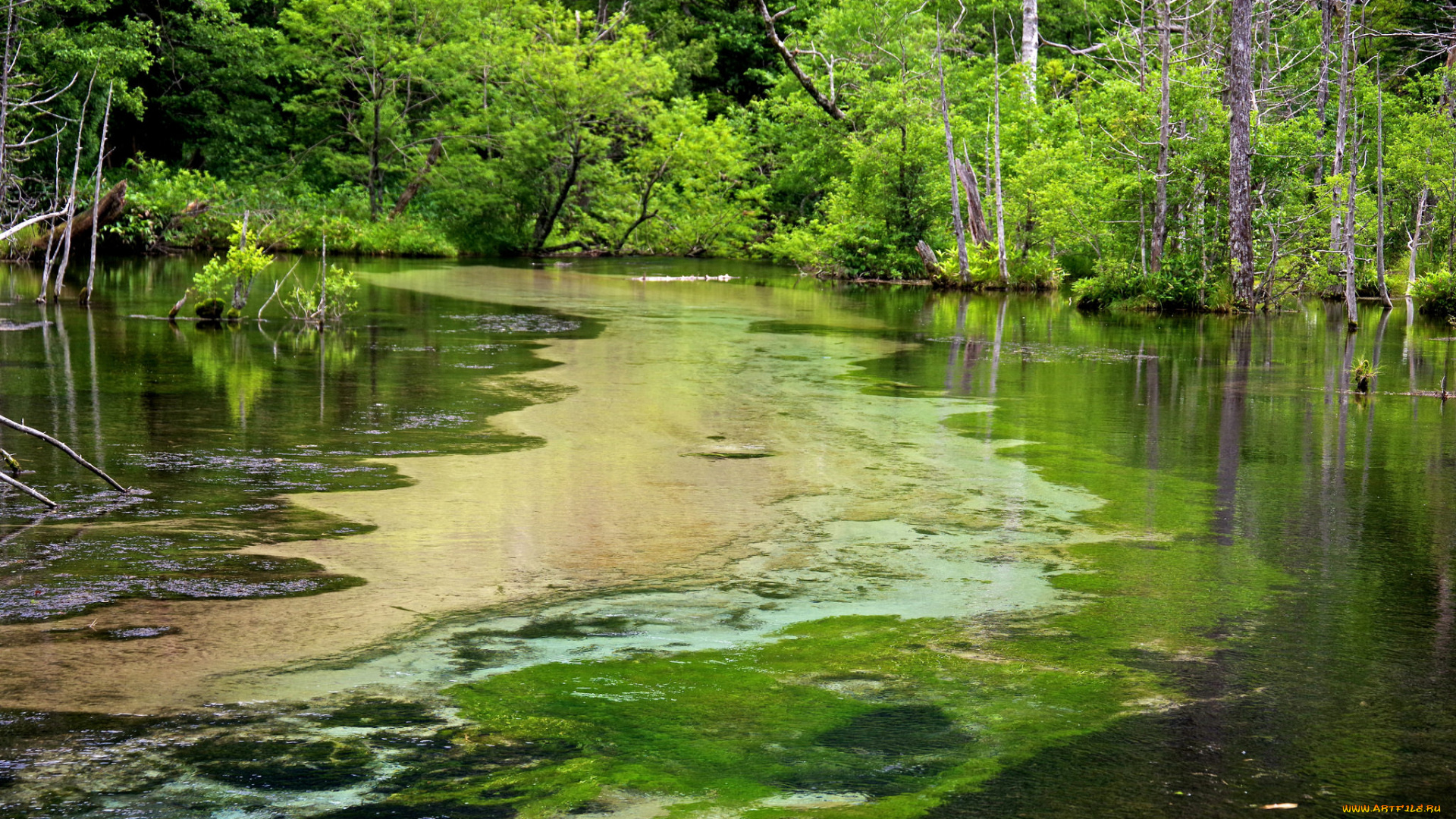 природа, реки, озера, простор