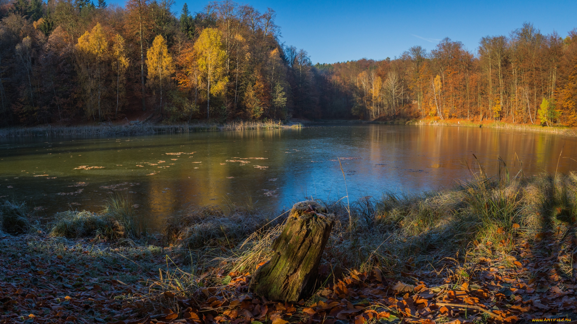 природа, реки, озера, простор