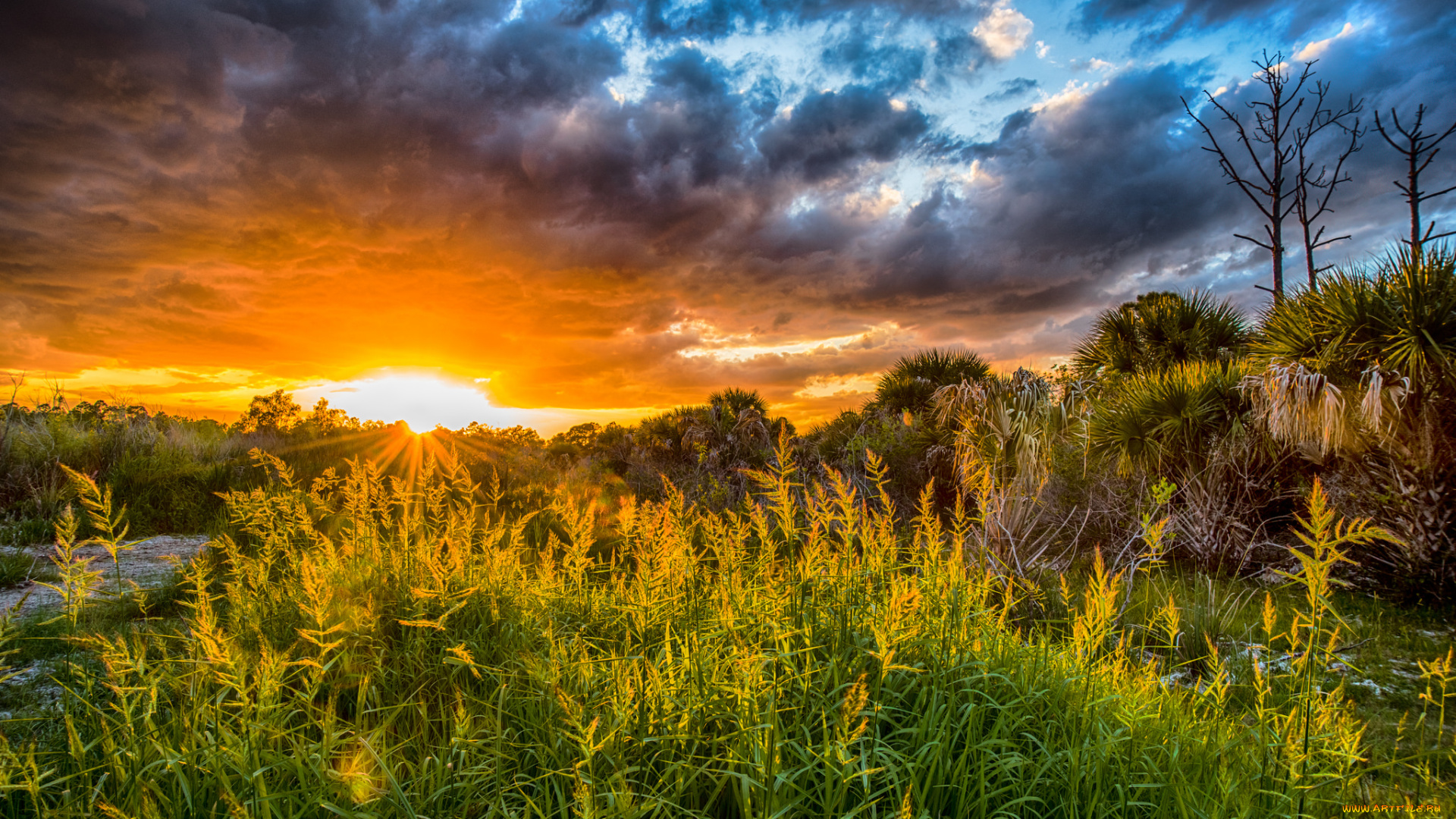 природа, восходы, закаты, рассвет