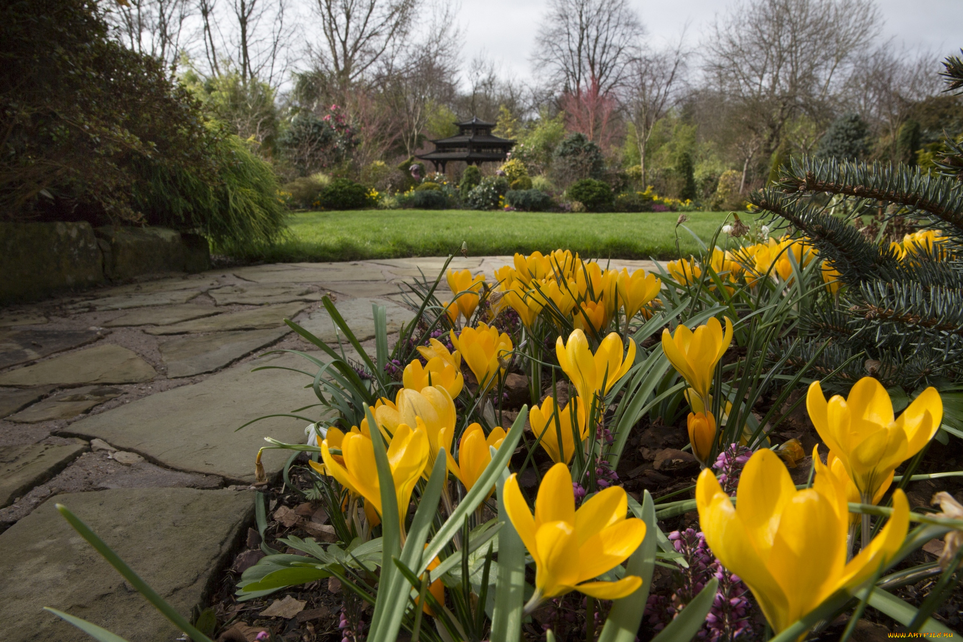 англия, природа, парк, крокусы, трава, дорожка, постройка, деревья