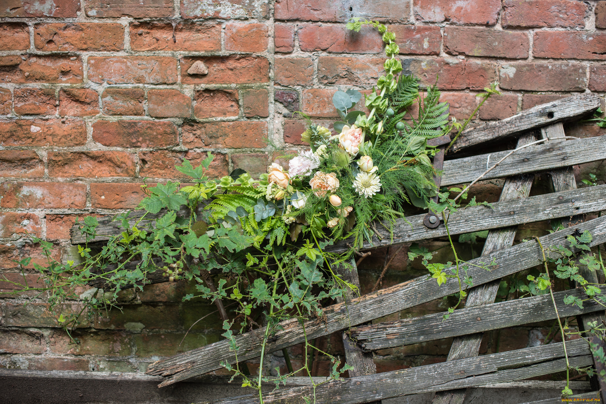 цветы, букеты, , композиции, композиция, розы, букет