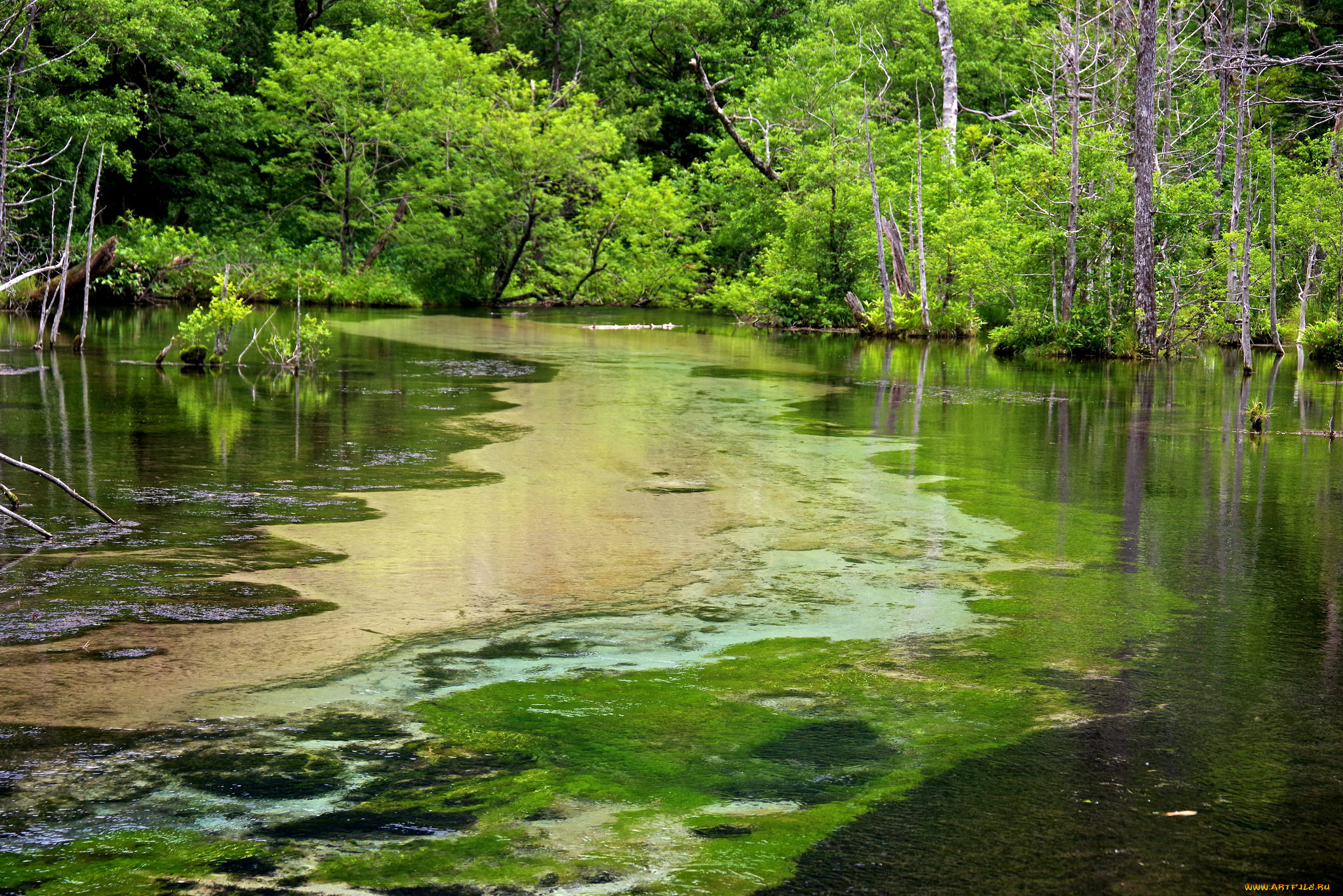 природа, реки, озера, простор
