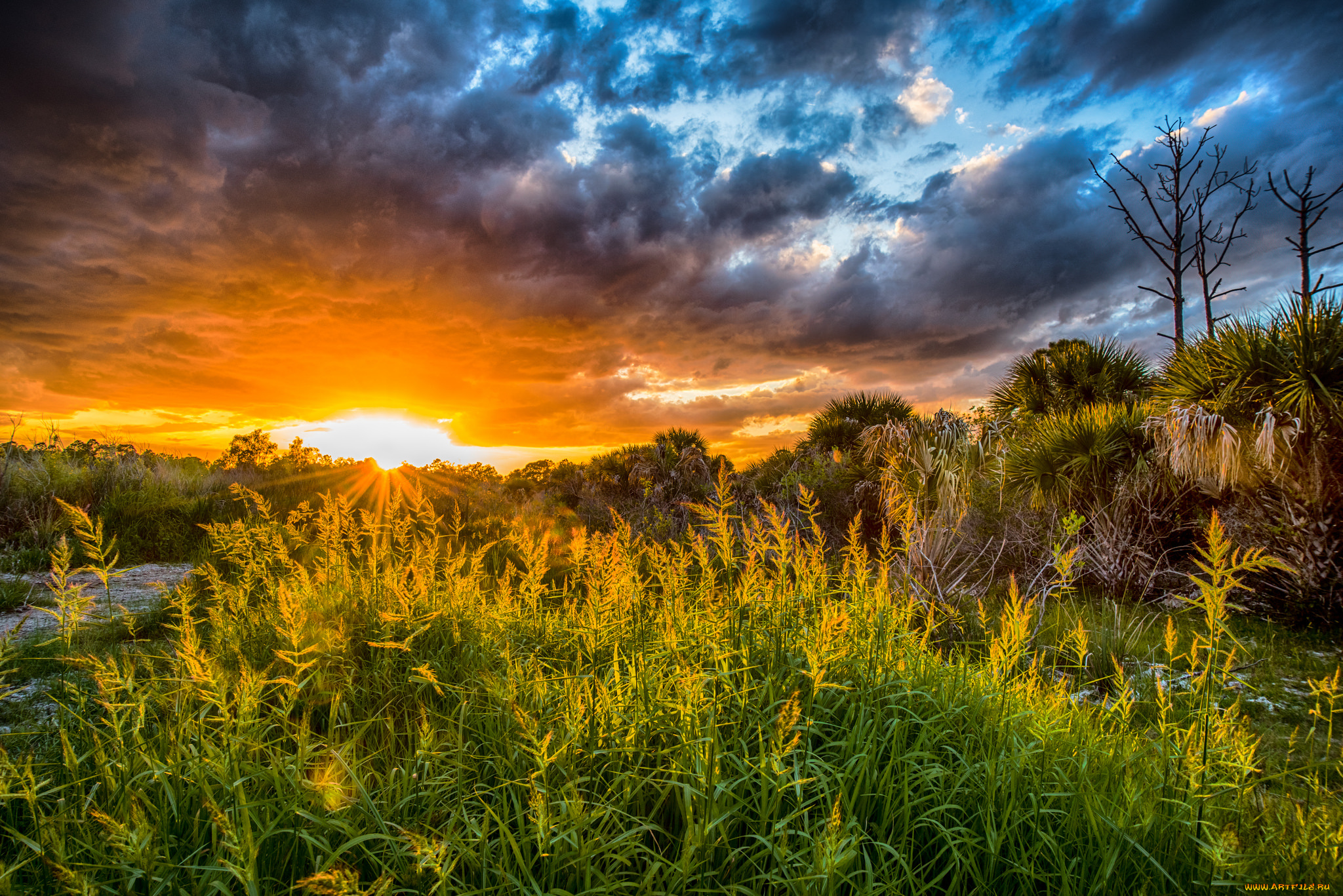 природа, восходы, закаты, рассвет