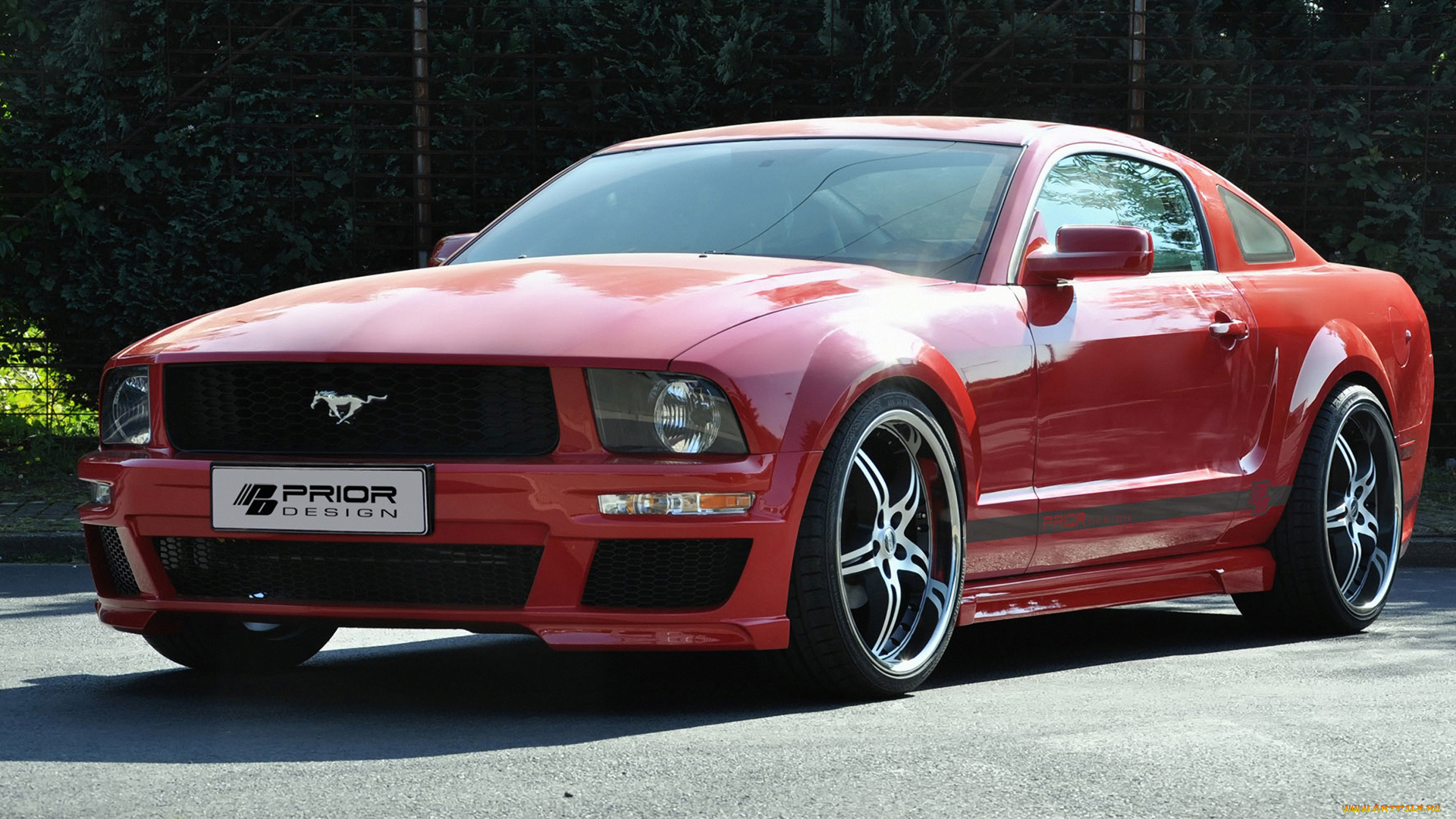 автомобили, mustang