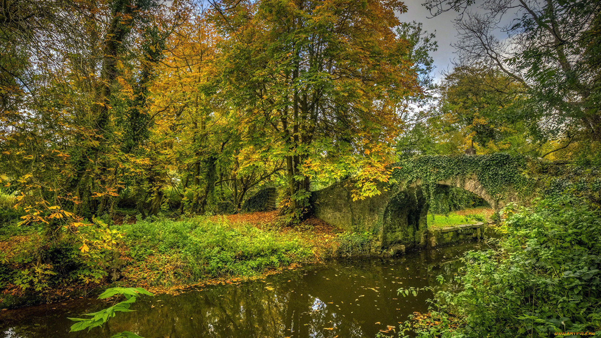 природа, парк, осень, листопад, водоем, мостик