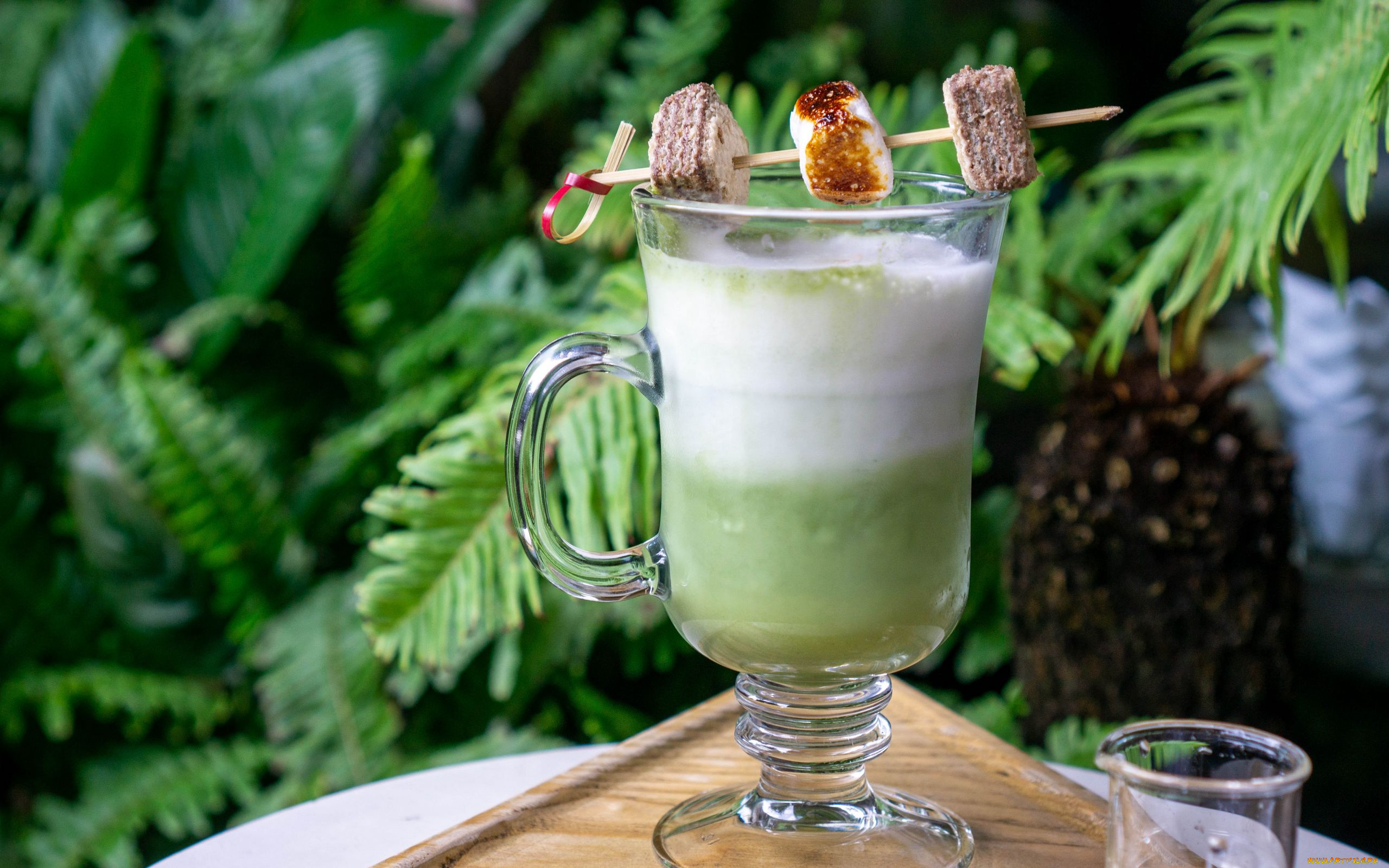 еда, напитки, , чай, чай, matcha, latte, drink