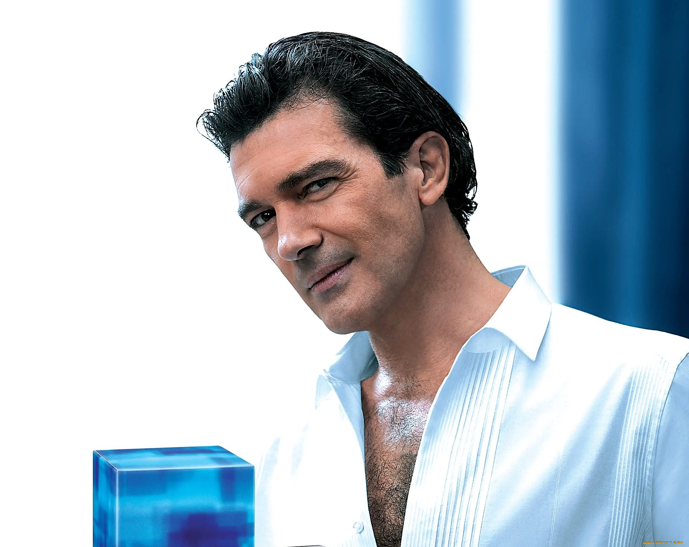 мужчины, antonio, banderas, актер, лицо, рубашка