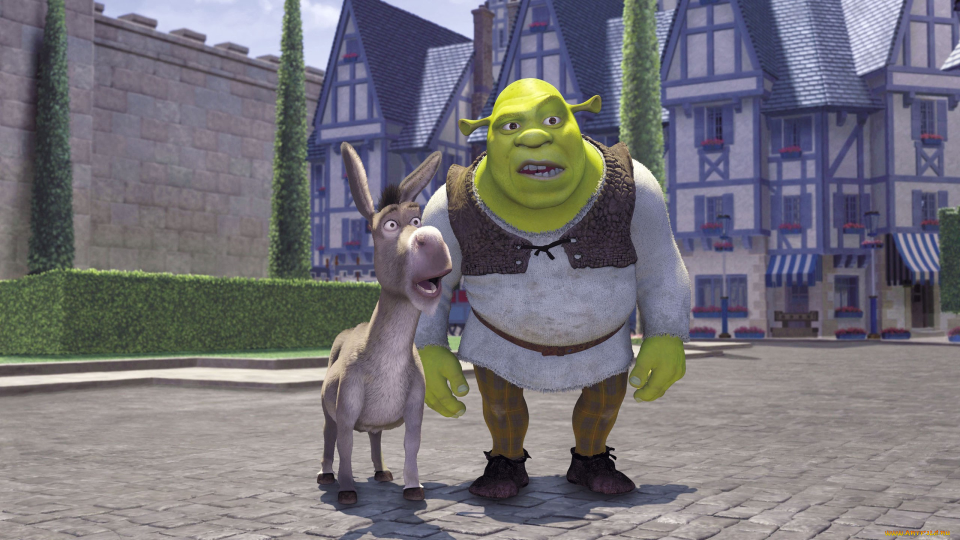 мультфильмы, shrek