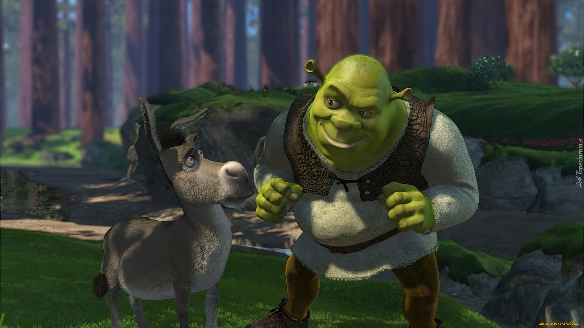 мультфильмы, shrek