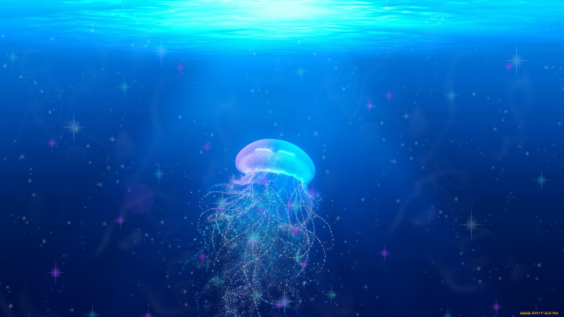 разное, компьютерный, дизайн, медуза