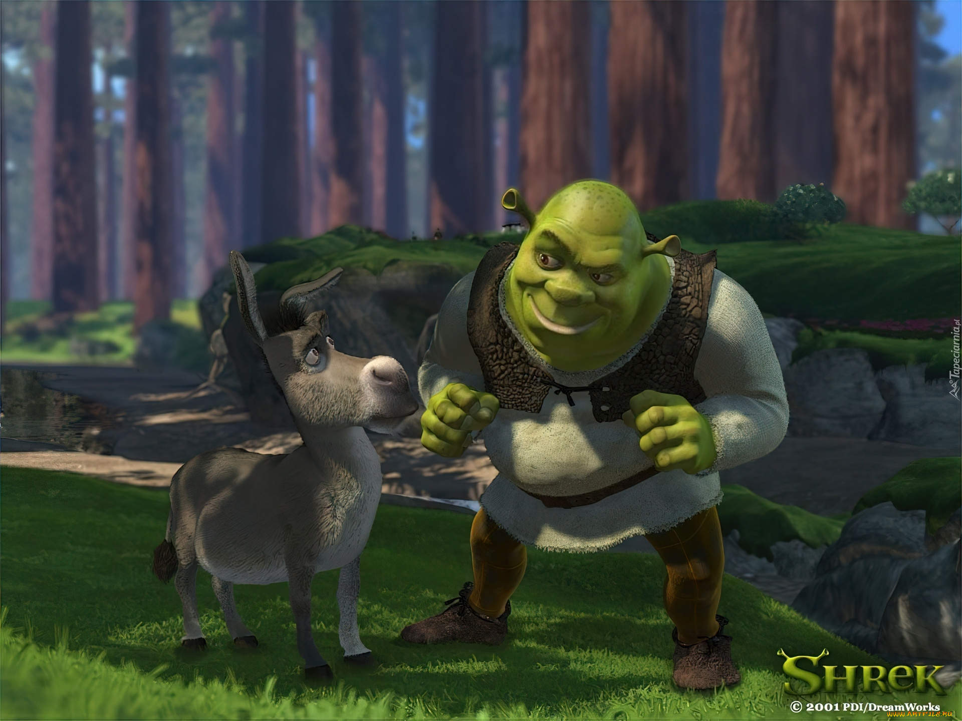 мультфильмы, shrek