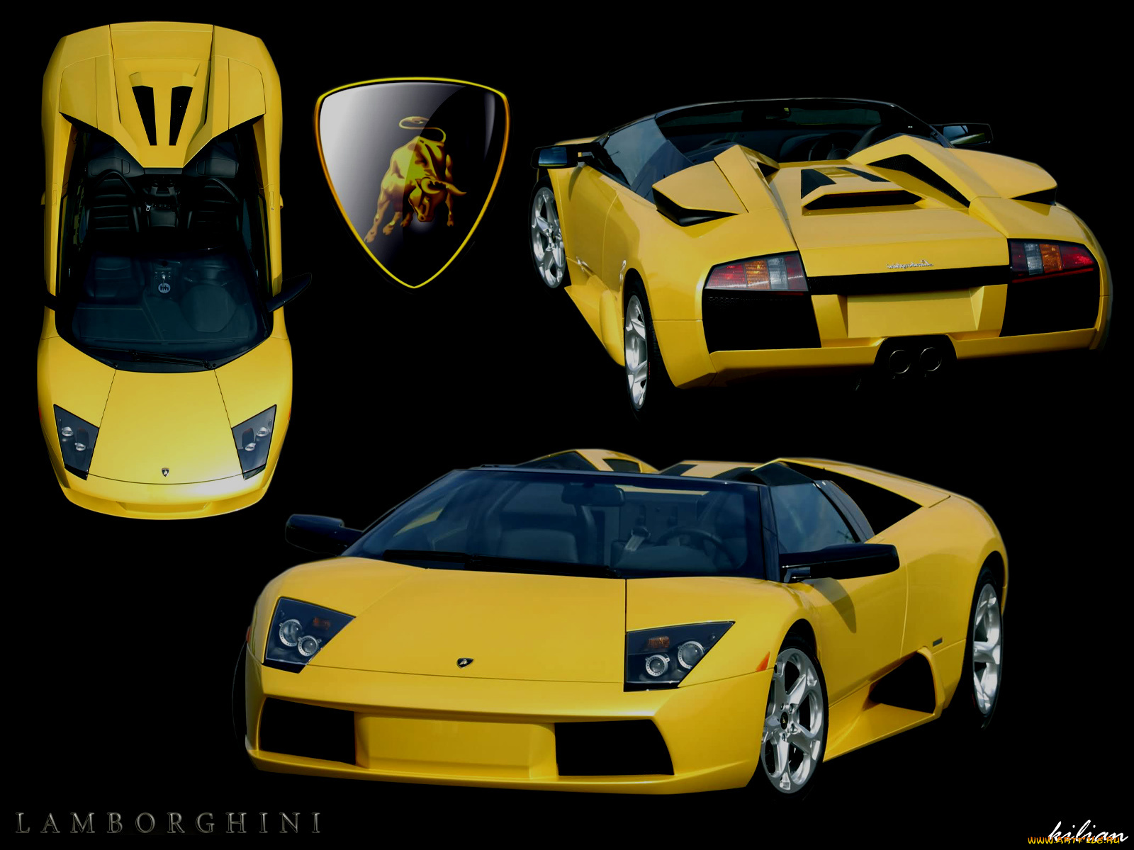 автомобили, lamborghini