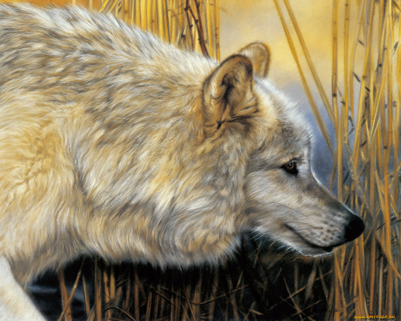 рисованные, животные