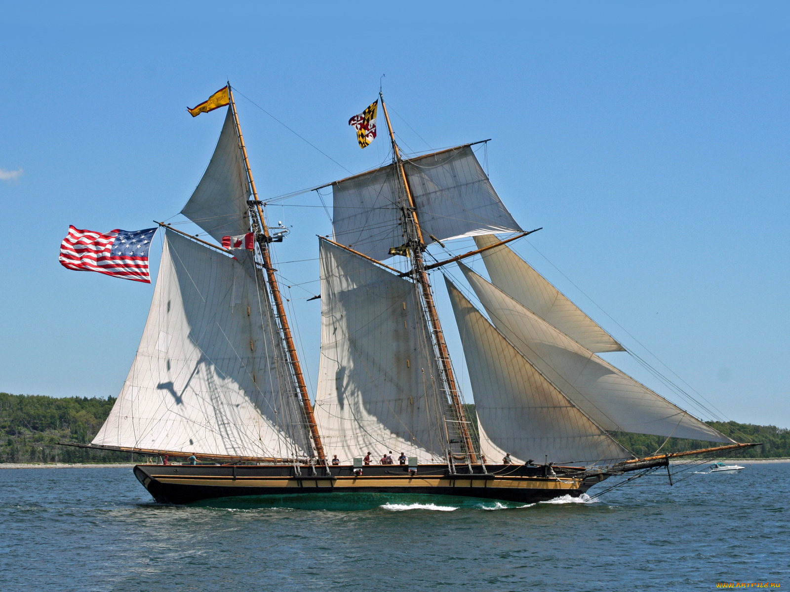 корабли, парусники