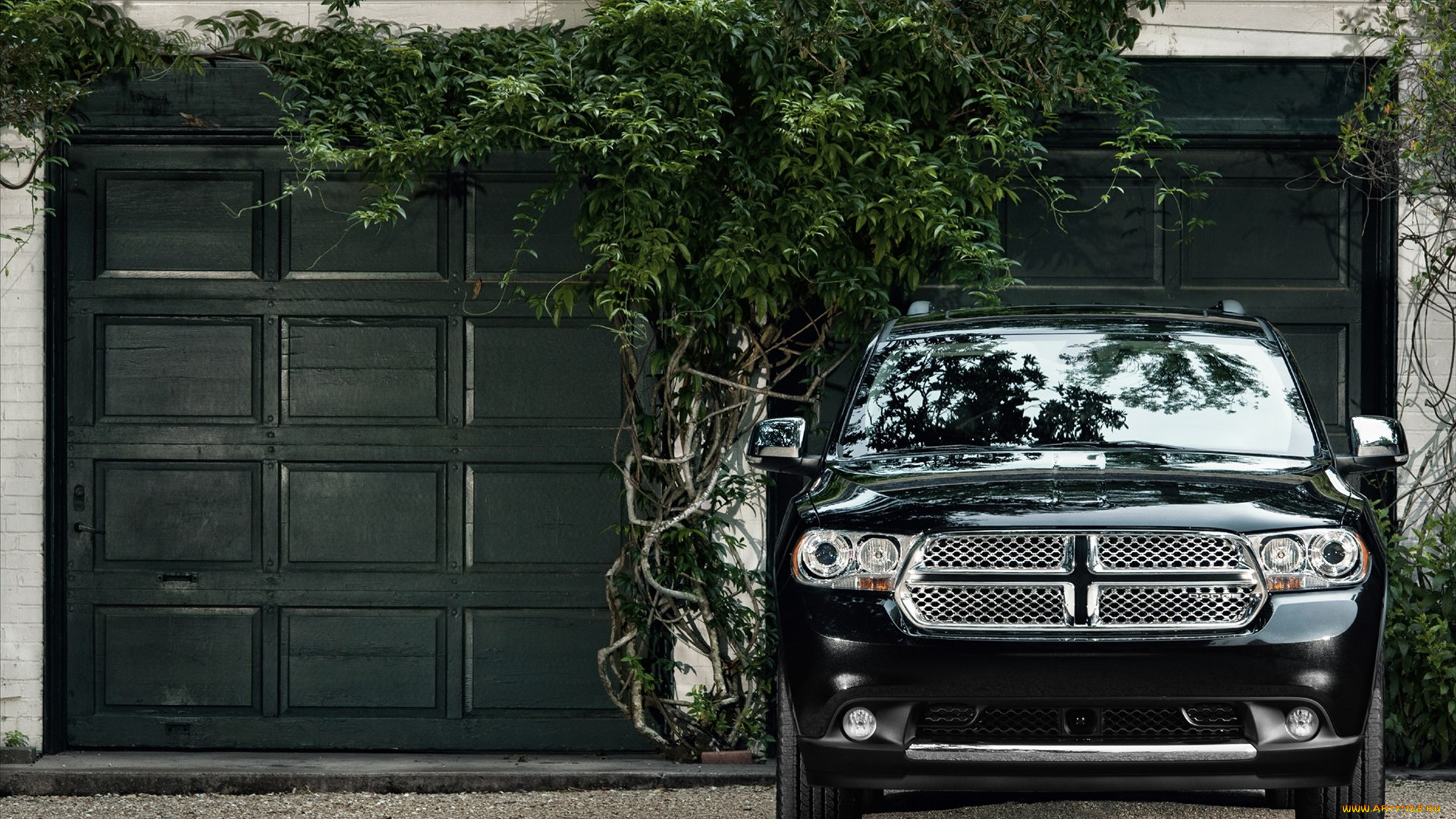 автомобили, dodge