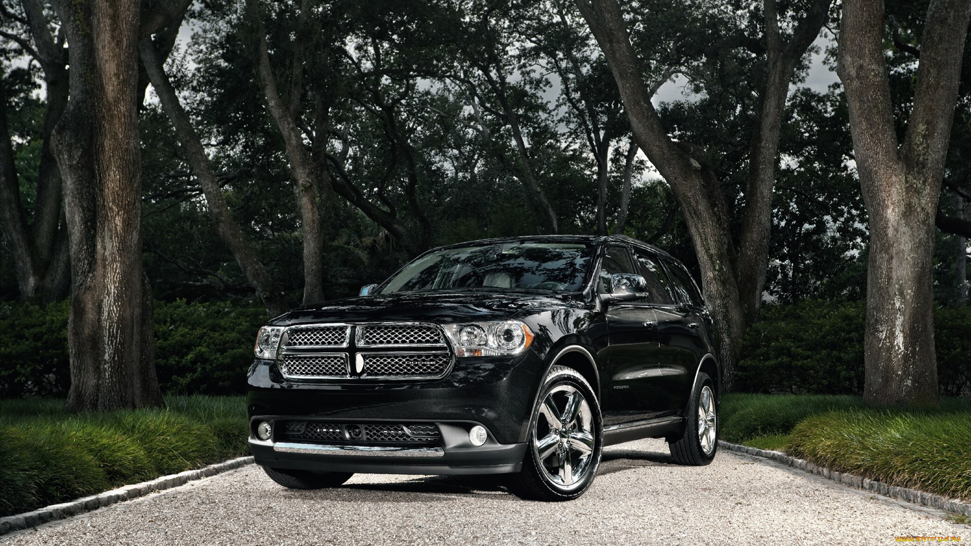 автомобили, dodge