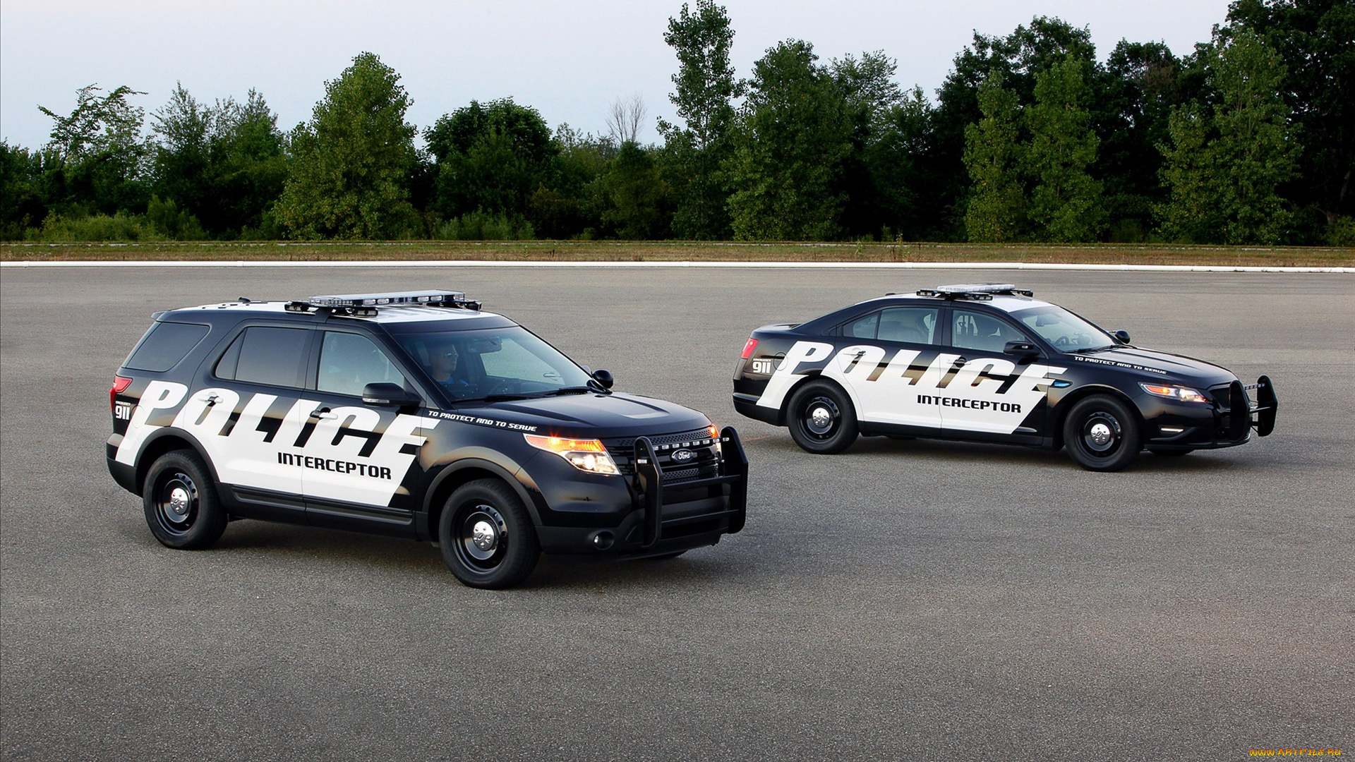 автомобили, полиция