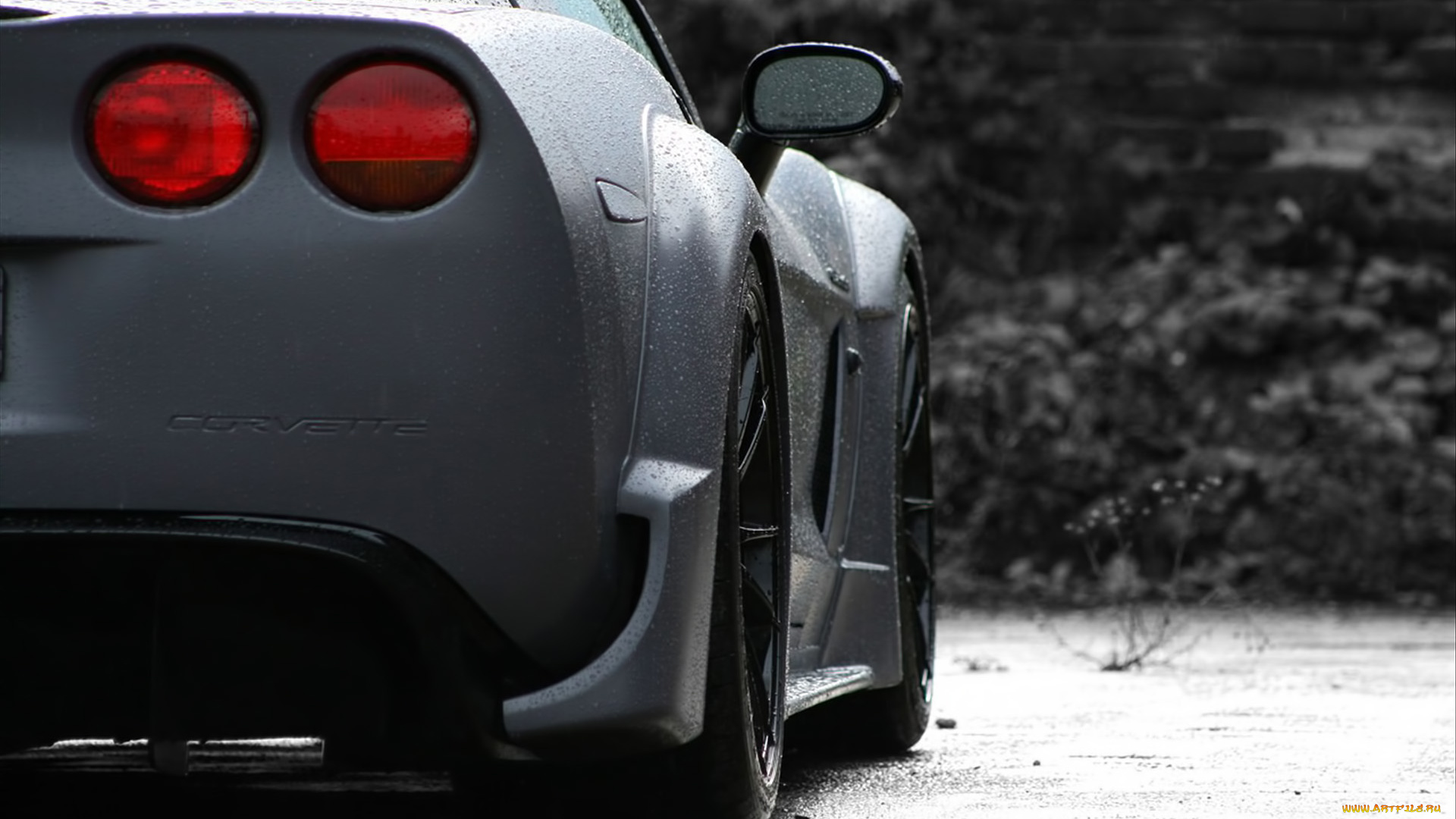 corvette, c6, black, force, one, rear, автомобили, фрагменты, автомобиля