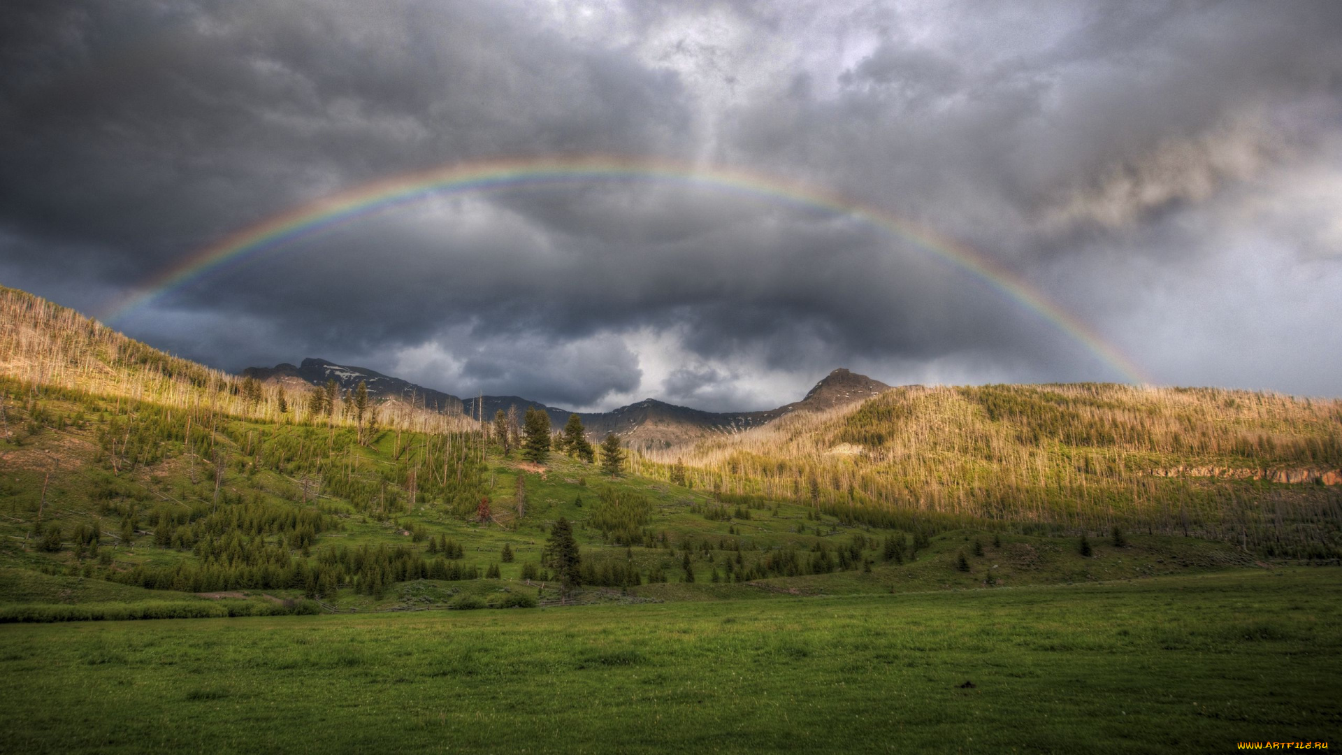 природа, радуга