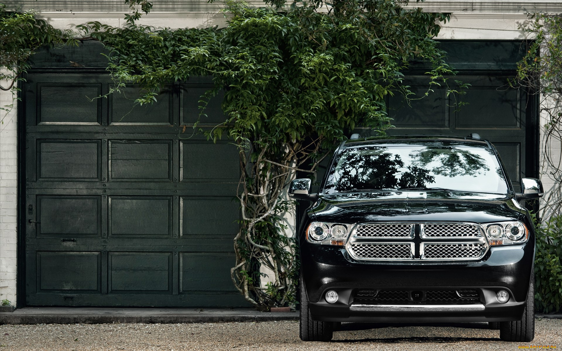 автомобили, dodge