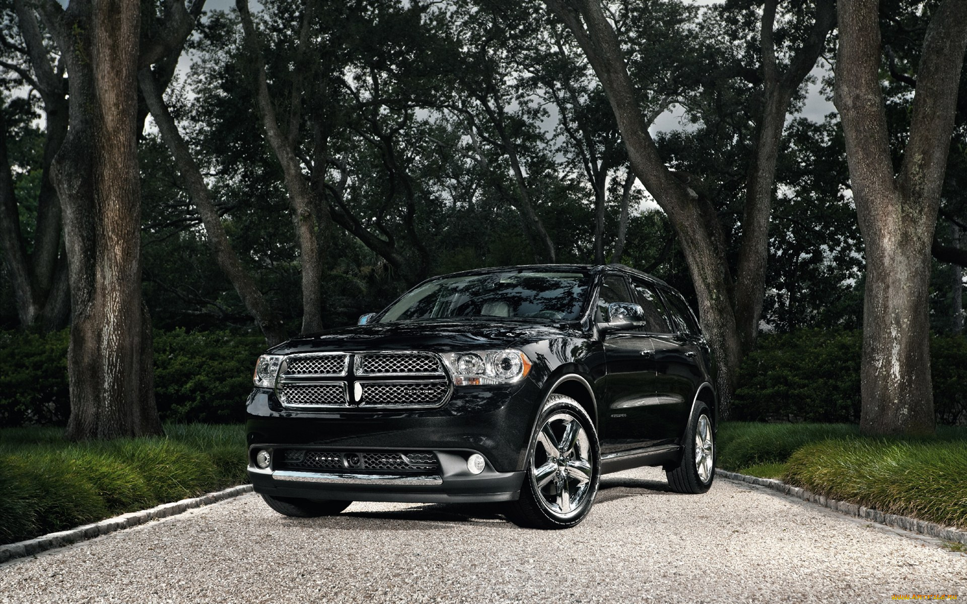 автомобили, dodge