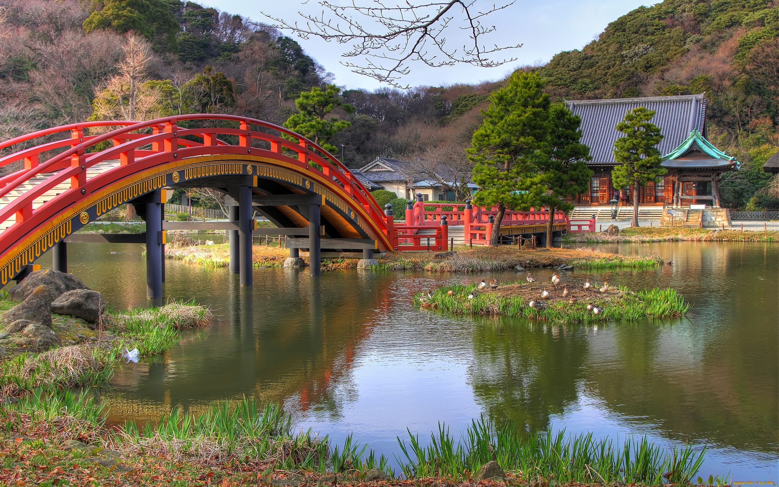 природа, парк