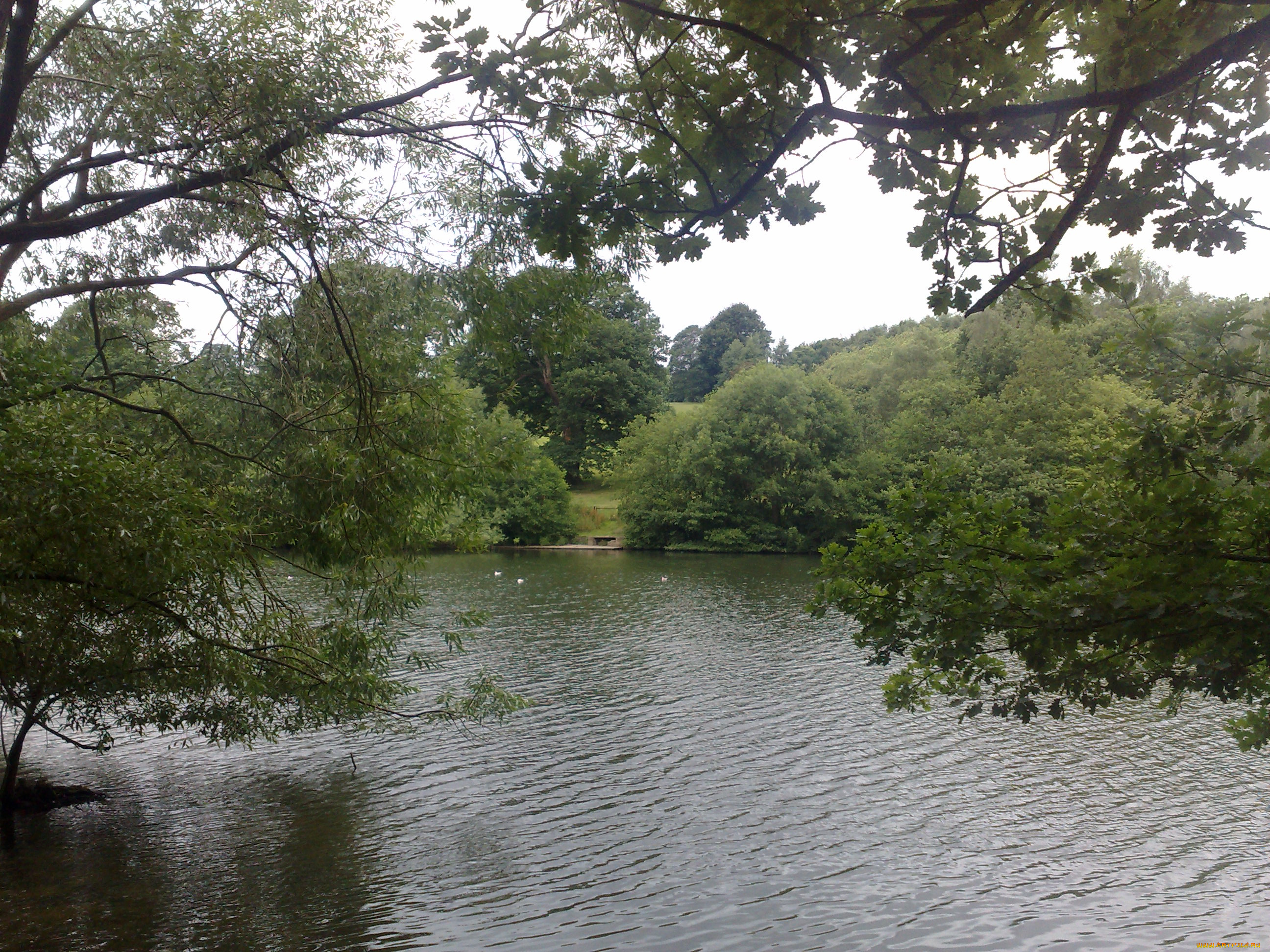 природа, реки, озера