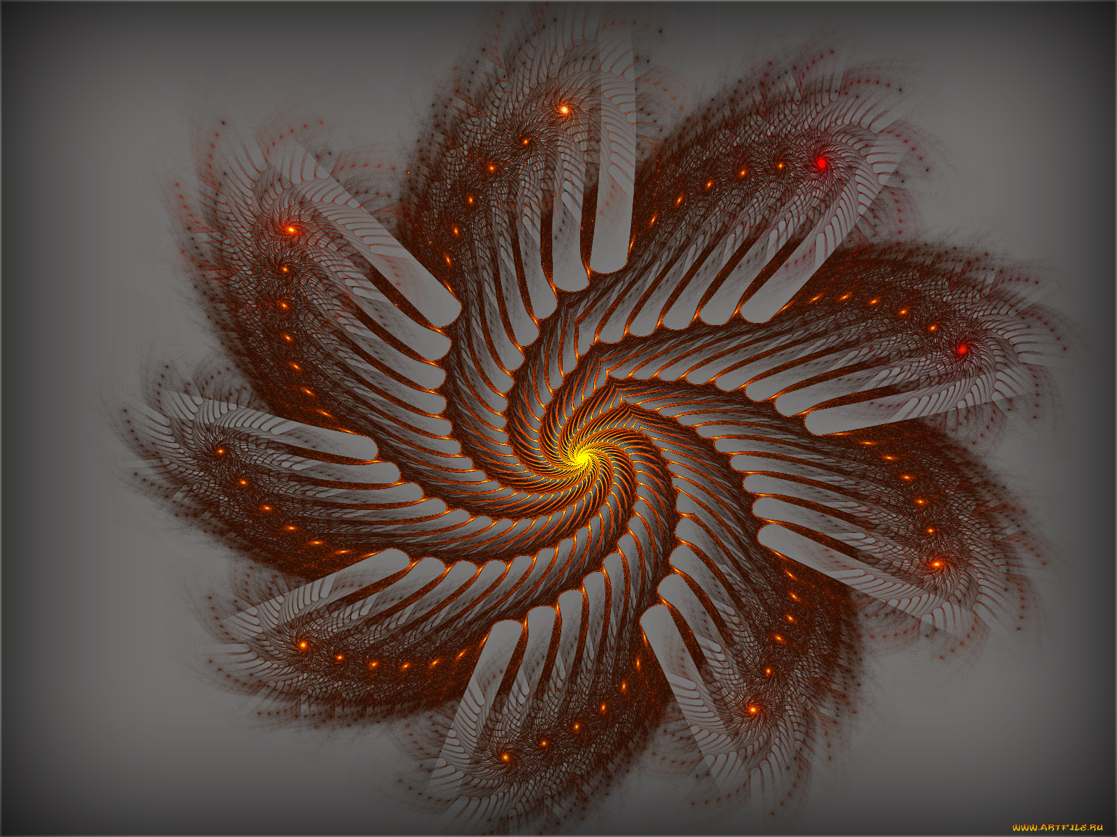 3д, графика, fractal, фракталы, абстракция