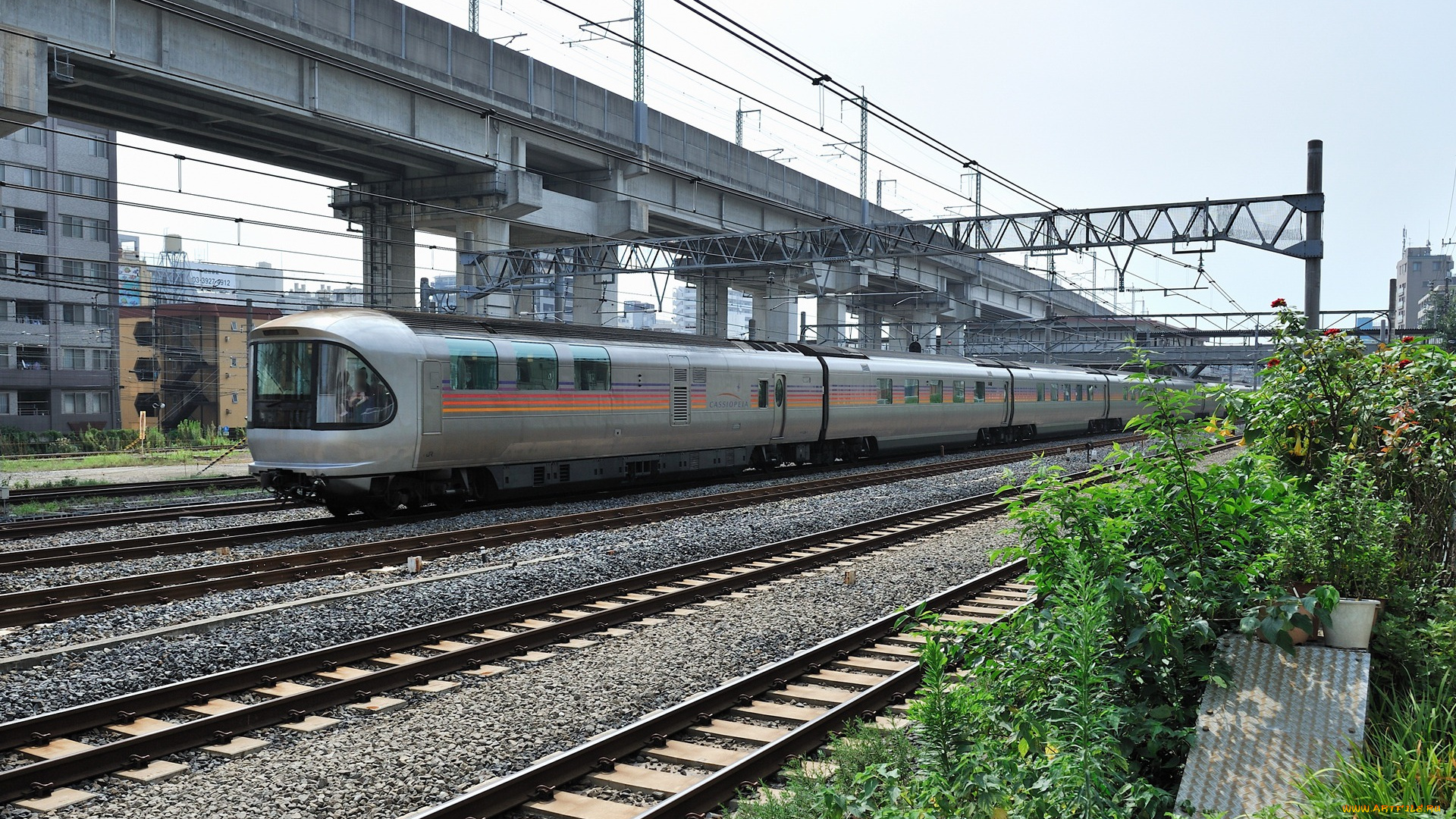 техника, поезда, поезд, мост