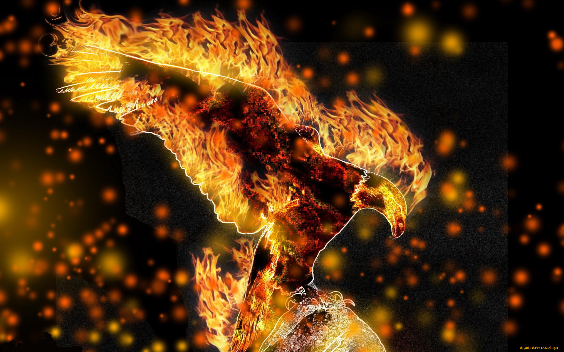 3д, графика, animals, животные, птица, пламя, орёл