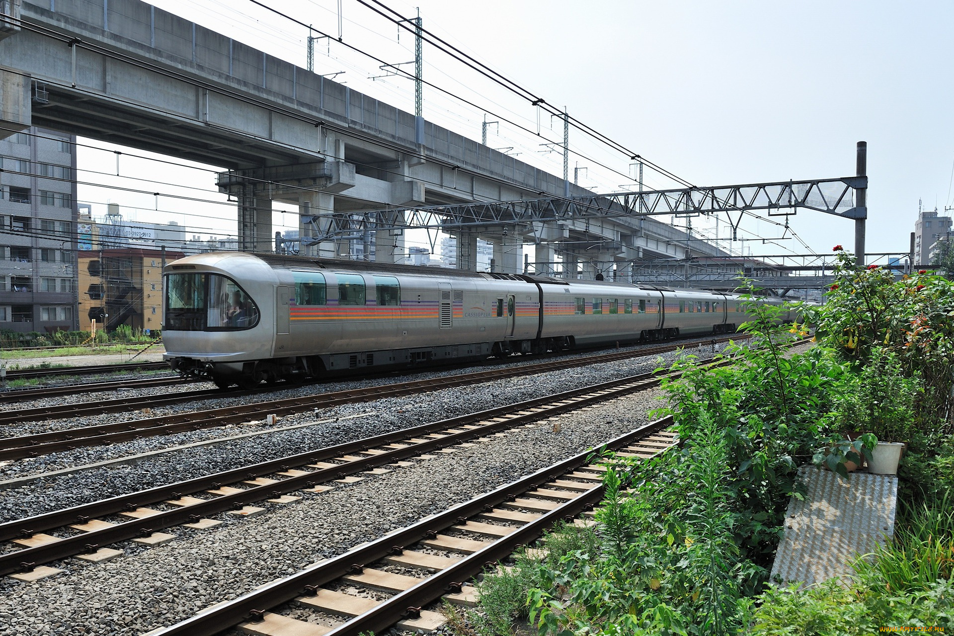 техника, поезда, поезд, мост