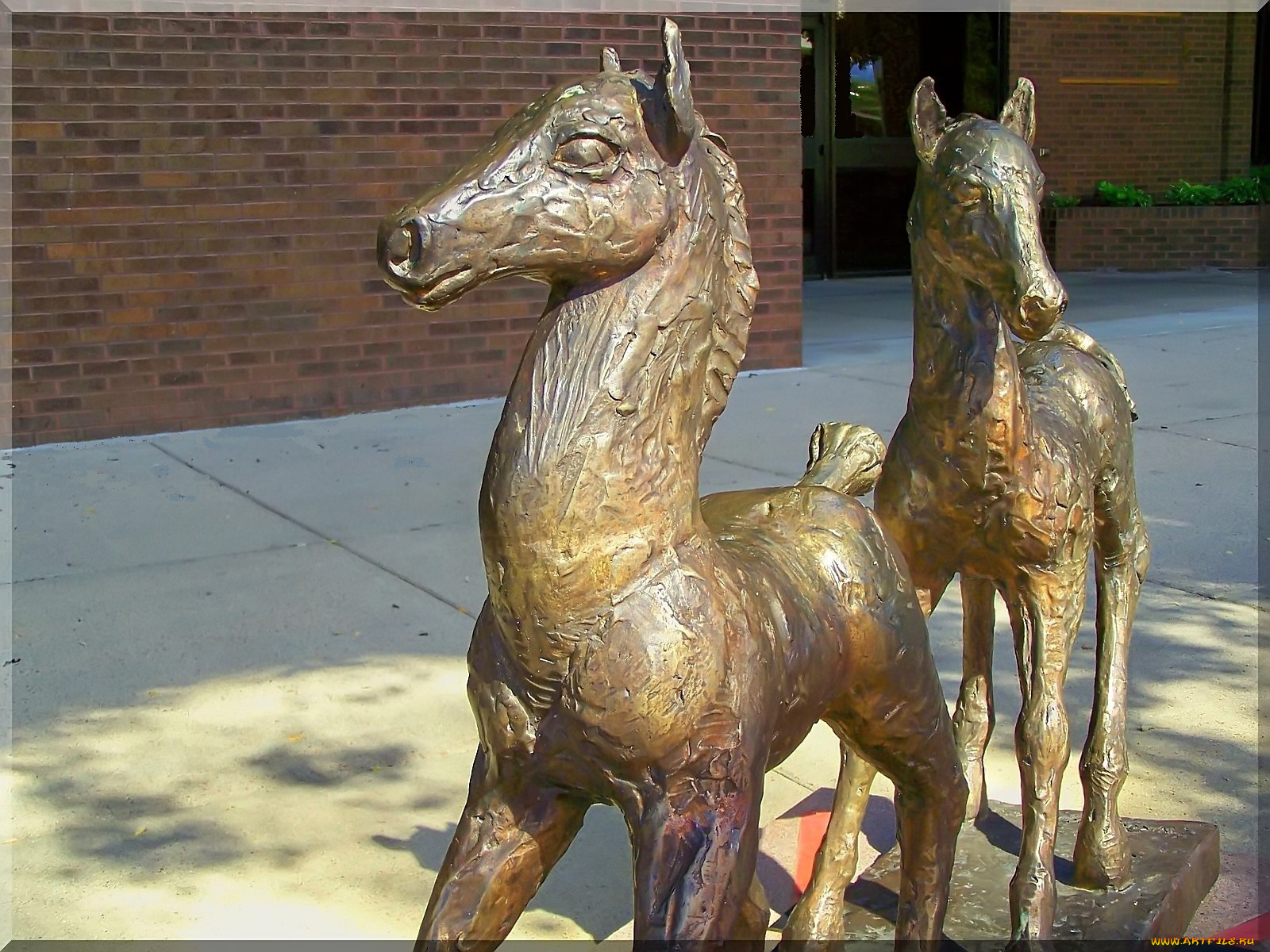 разное, рельефы, статуи, музейные, экспонаты, лошадь