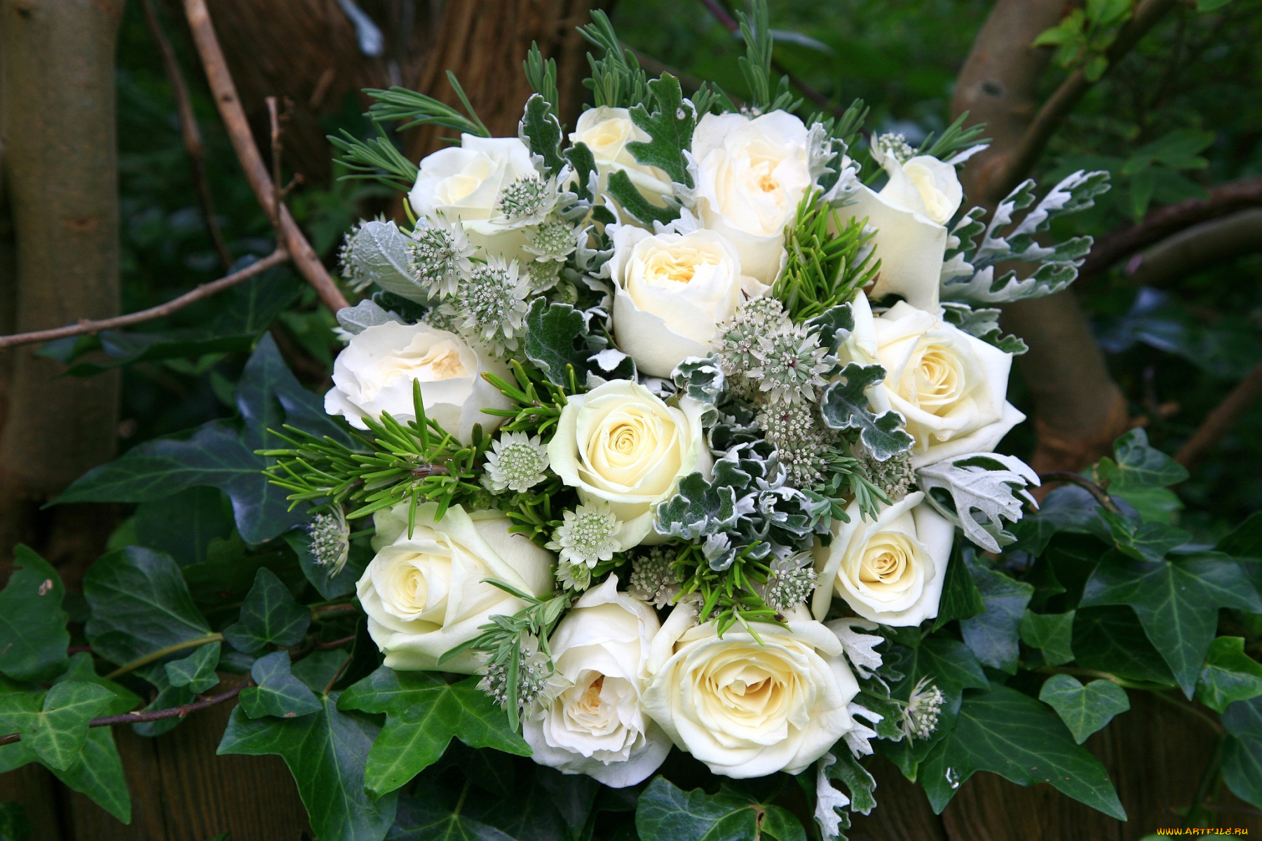 цветы, букеты, композиции, плющ, астрантия, розы