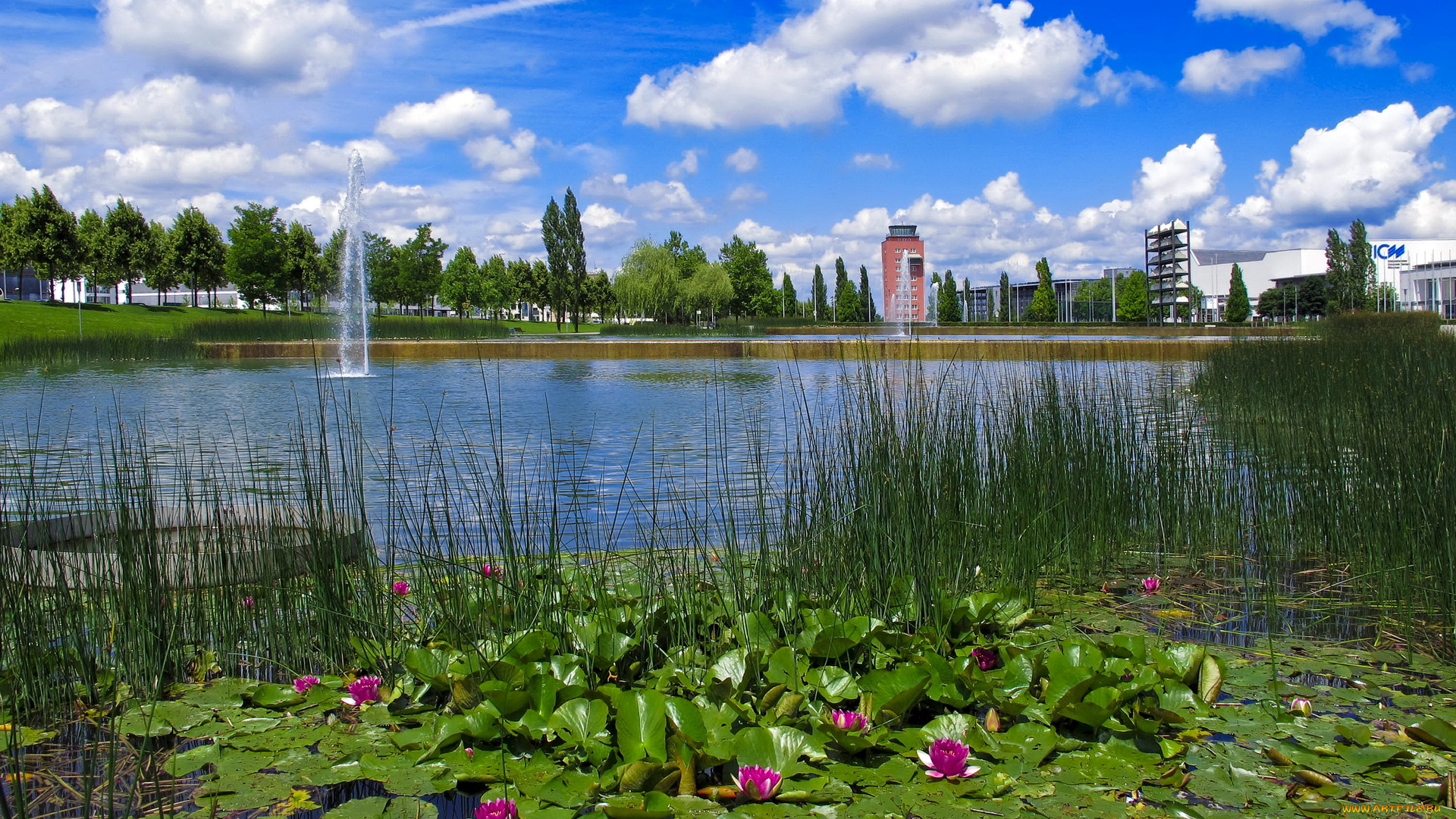 германия, мюнхен, парк, природа