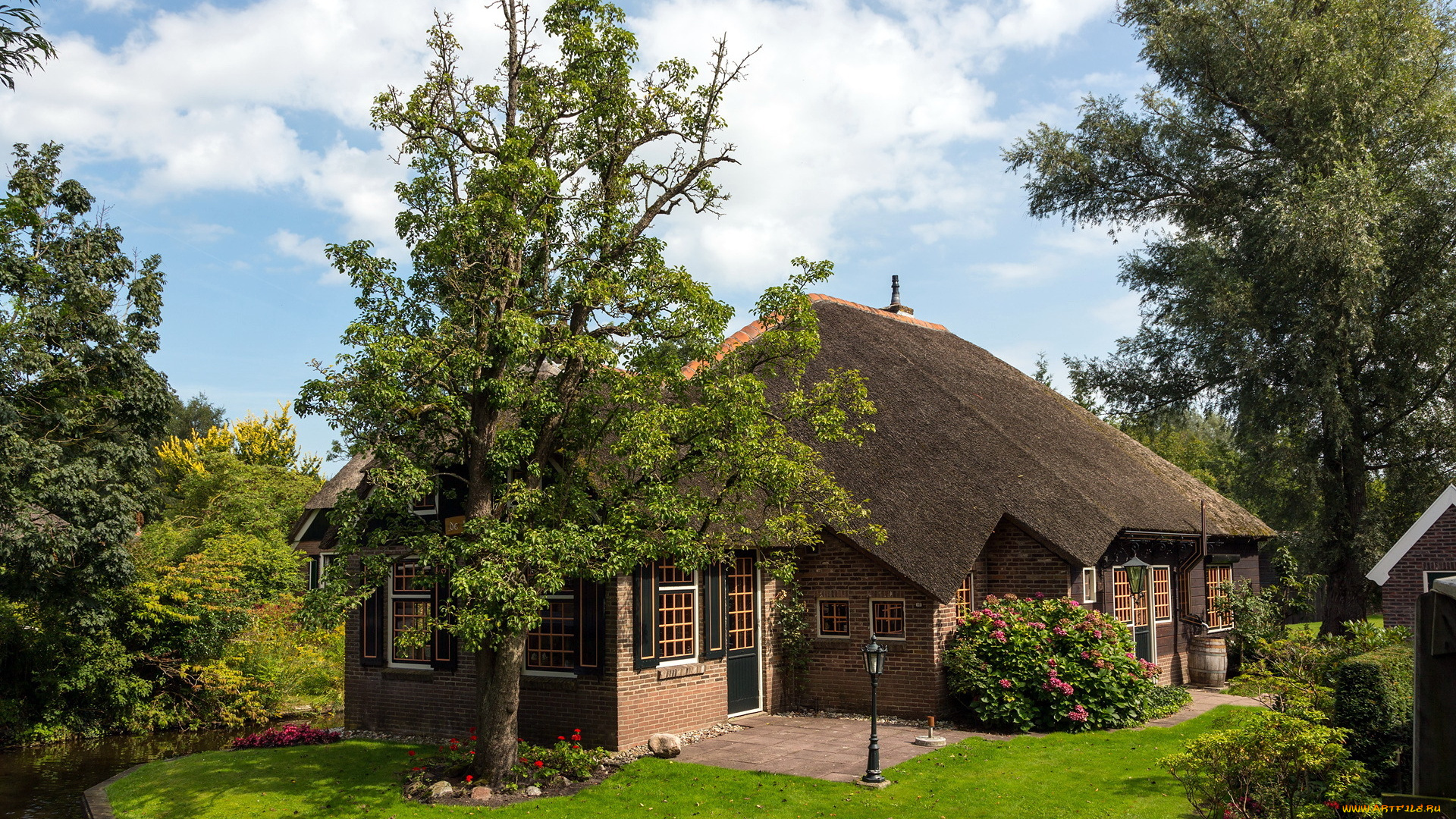 города, здания, дома, дом, дерево