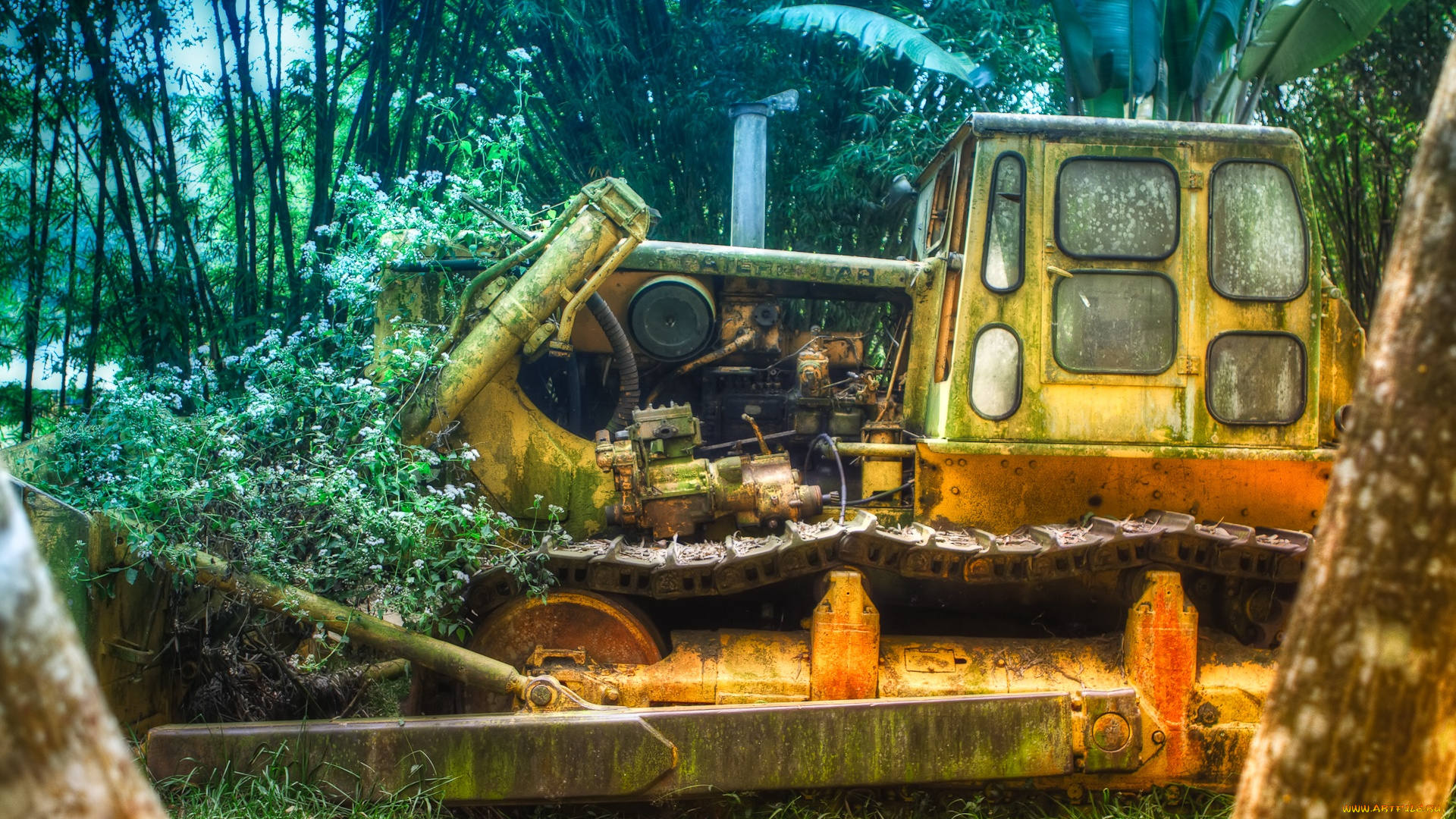 in, the, jungle, техника, бульдозеры, ковш, бульдозер