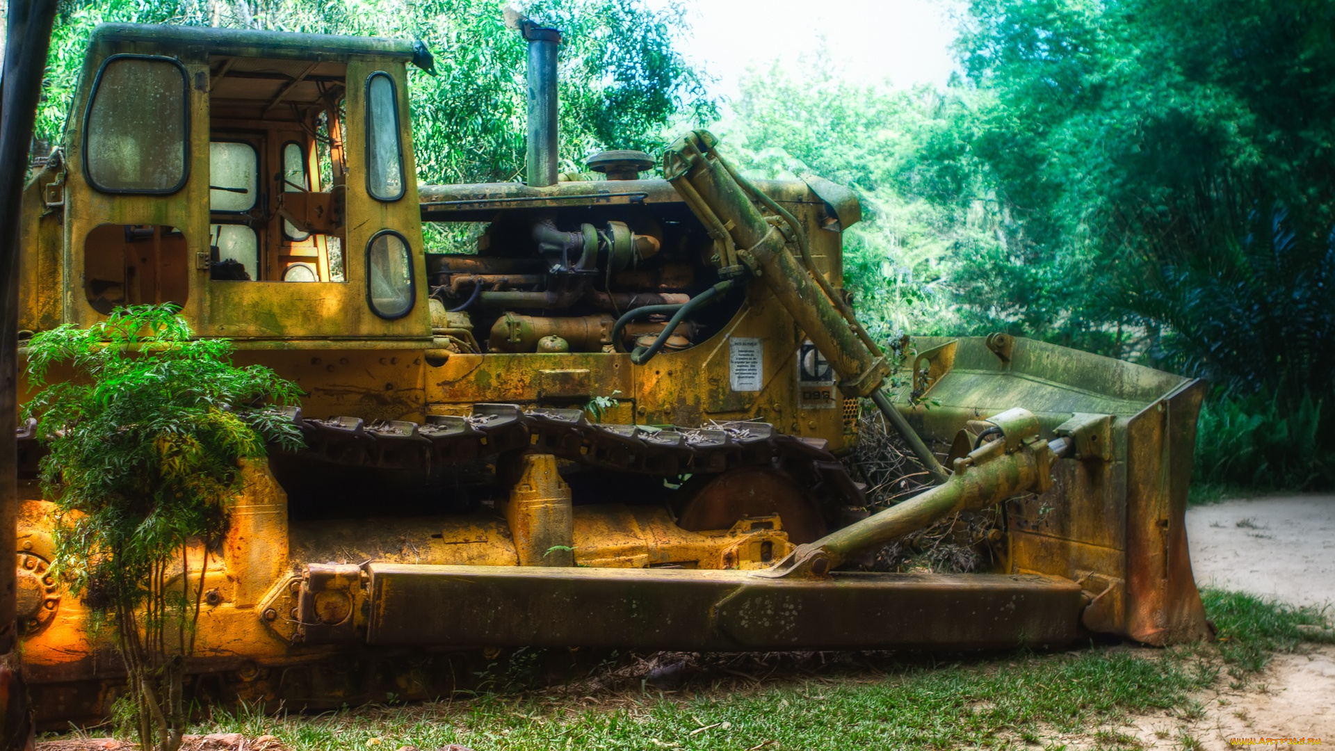 in, the, jungle, техника, бульдозеры, тяжелая