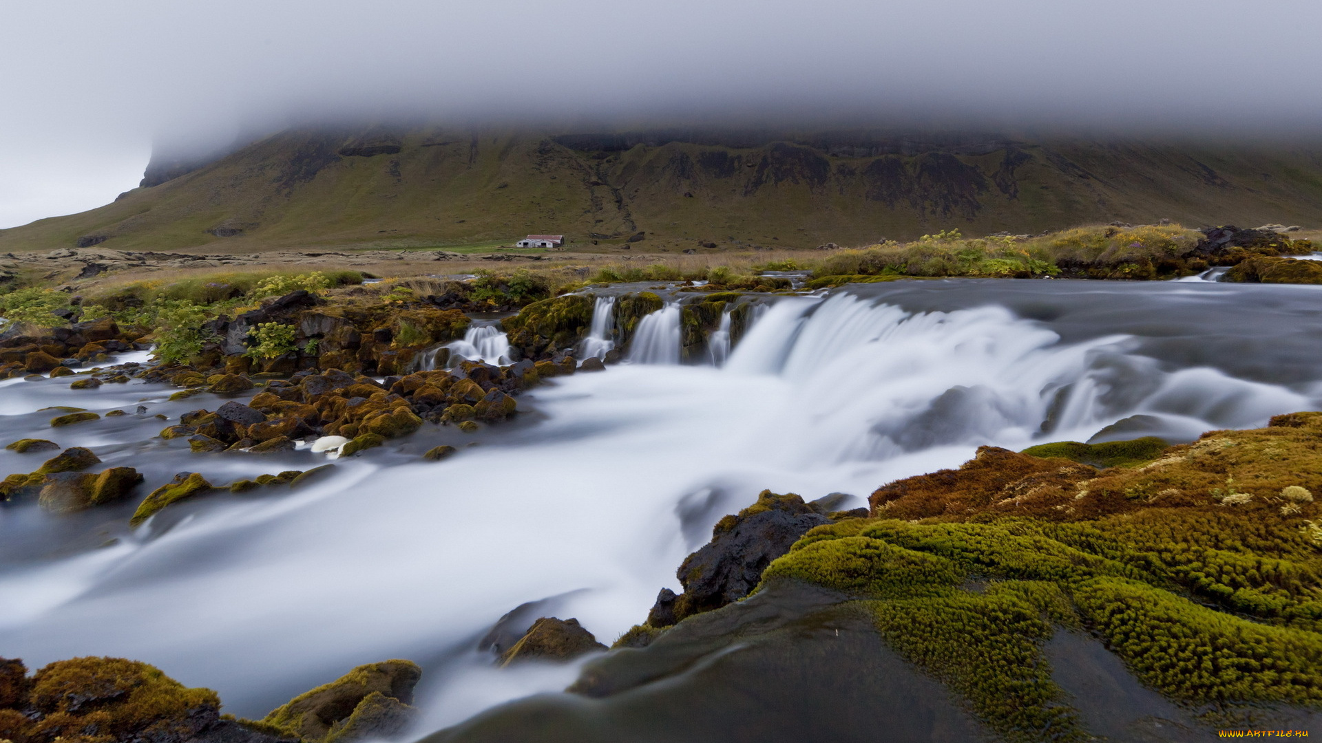 природа, реки, озера, река