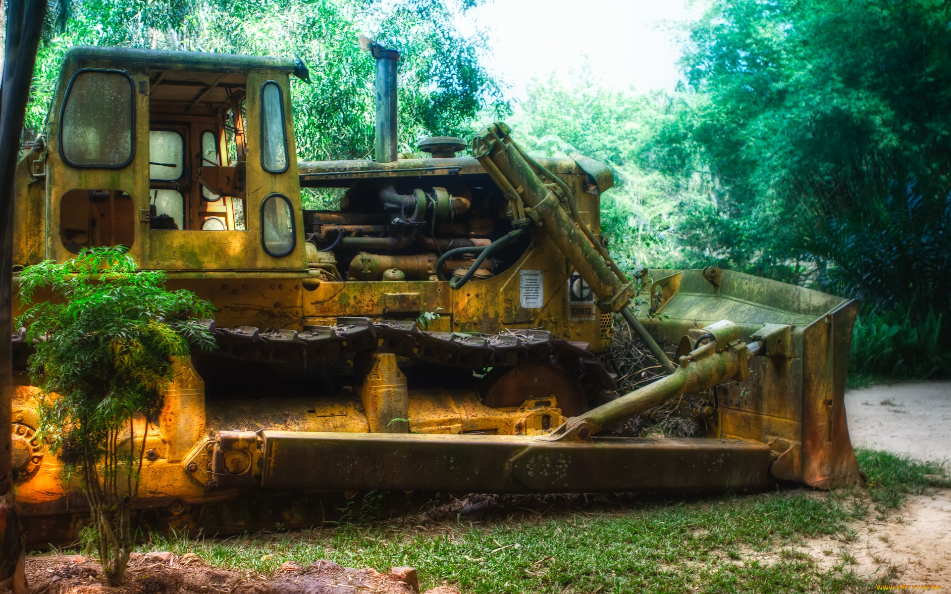 in, the, jungle, техника, бульдозеры, тяжелая