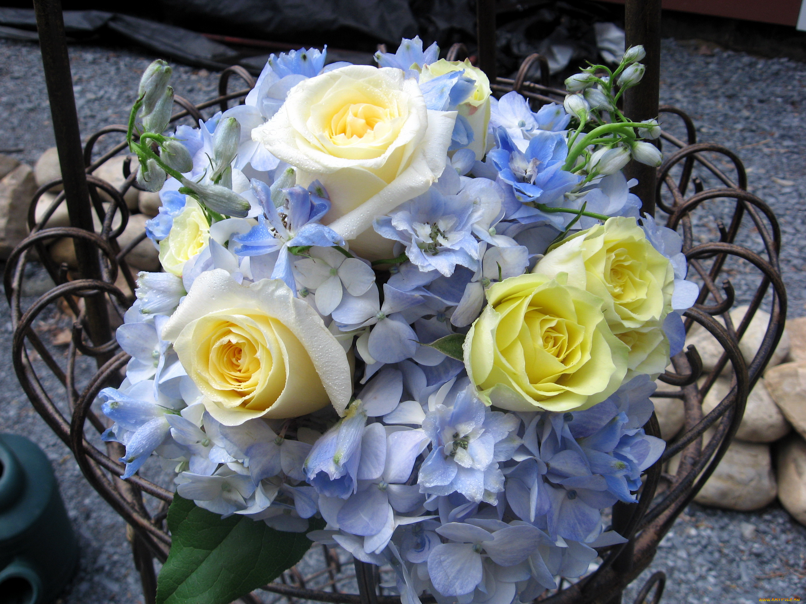 цветы, букеты, композиции, букет, розы