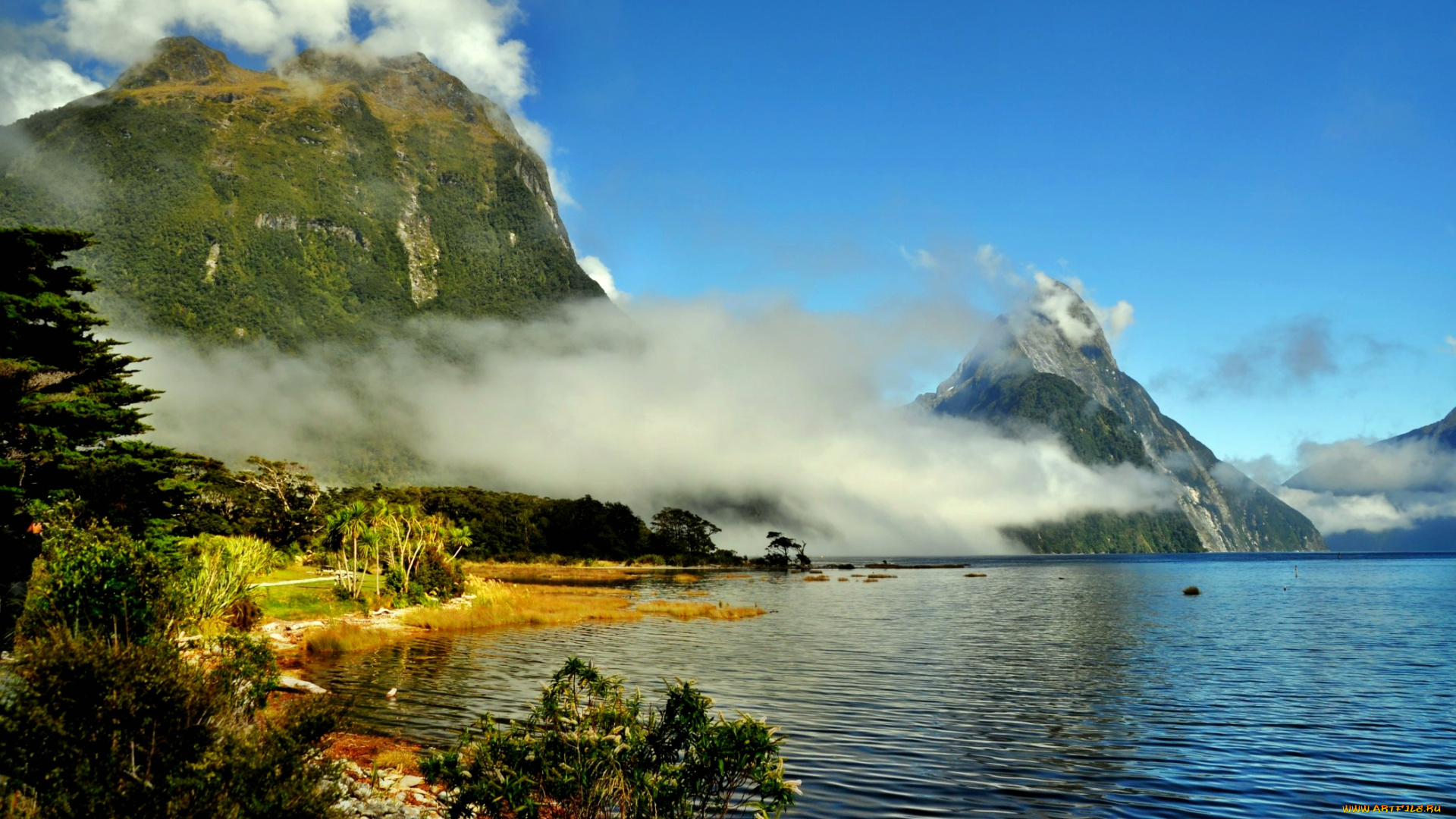 новая, зеландия, саутленд, природа, побережье, океан, горы, растительность, залив