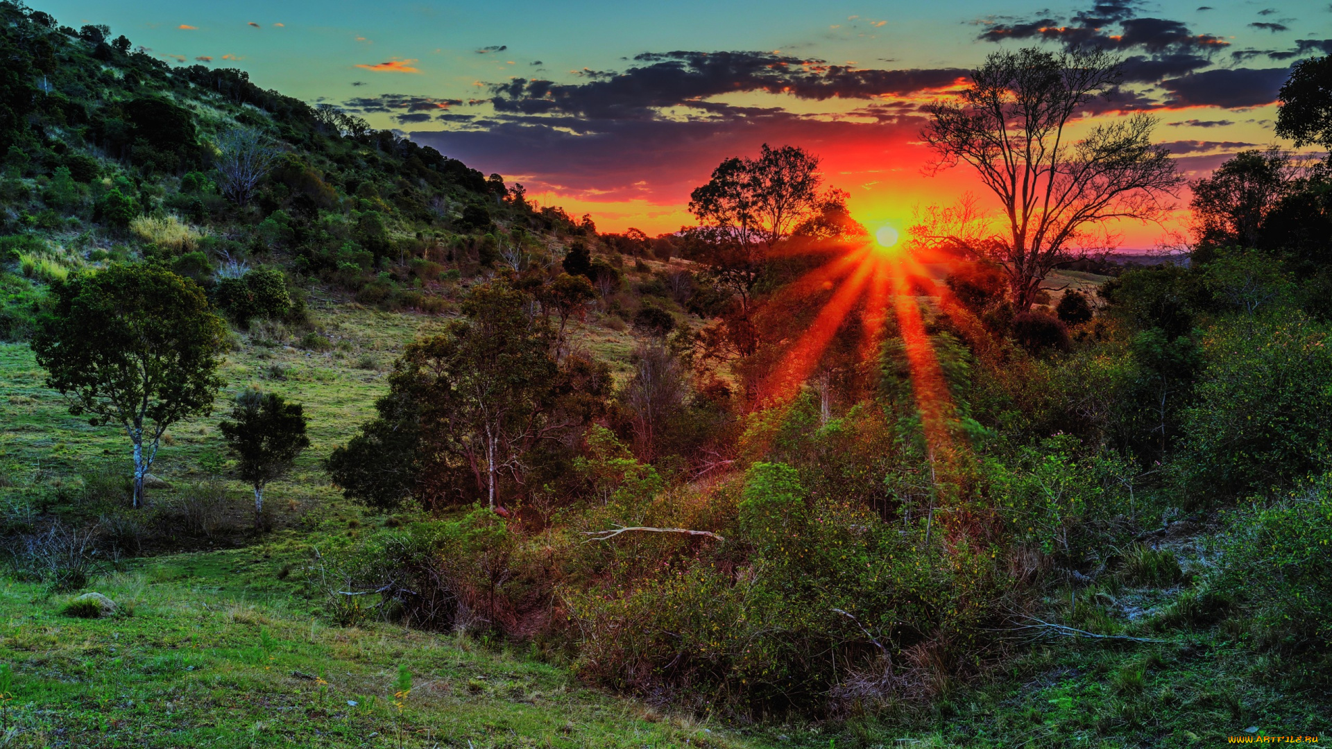 природа, восходы, закаты, холмы, трава, деревья, солнце, лучи, свет