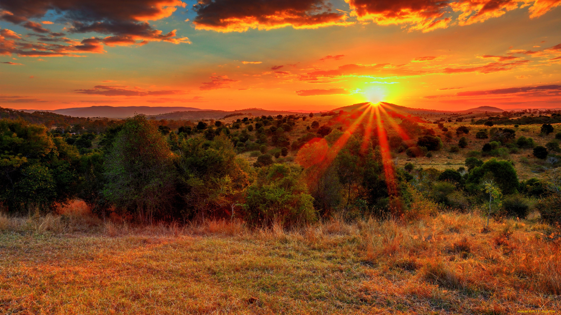 природа, восходы, закаты, свет, лучи, холмы, поле, трава, деревья, облака, солнце