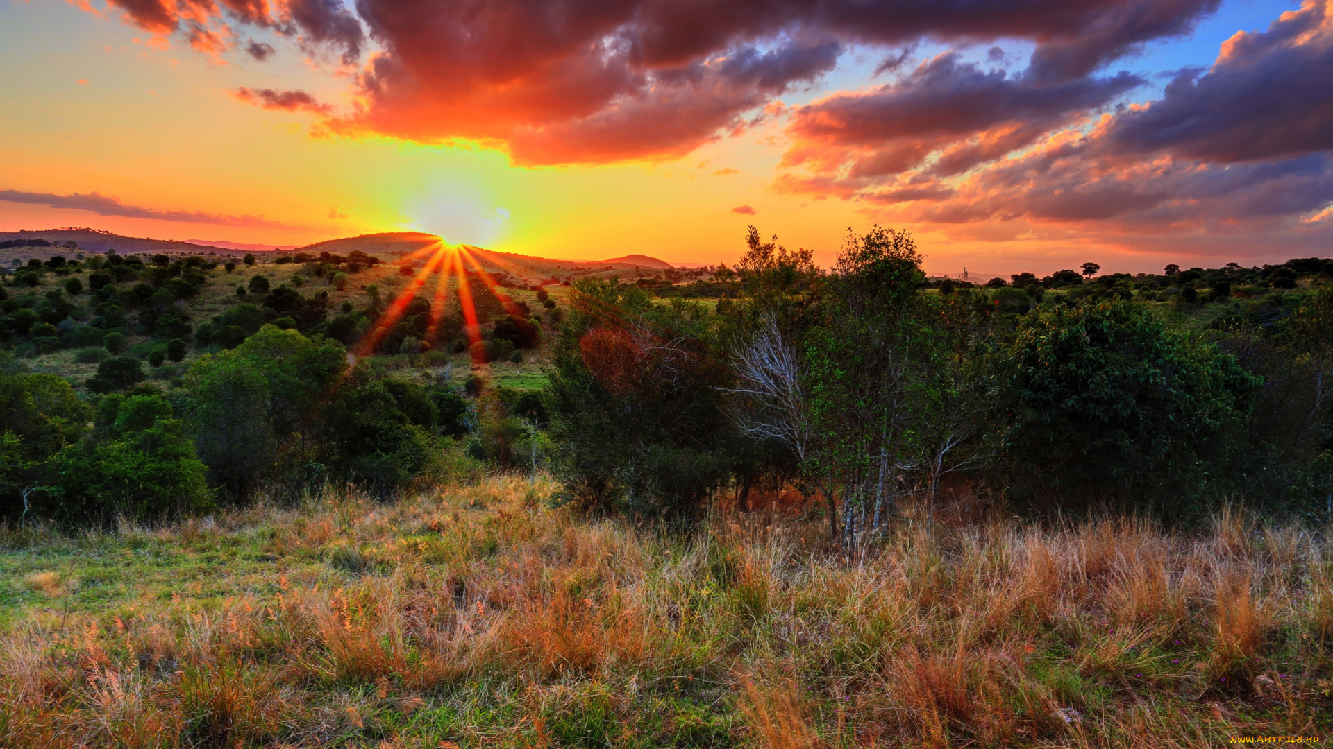 природа, восходы, закаты, трава, поле, деревья, холмы, тучи, солнце, лучи, свет
