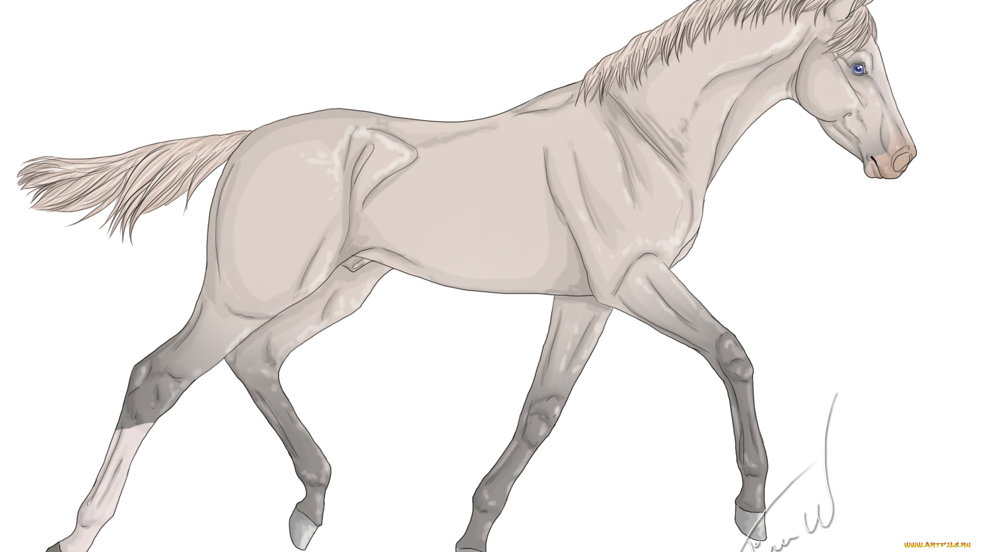рисованные, животные, лошади, лошадь