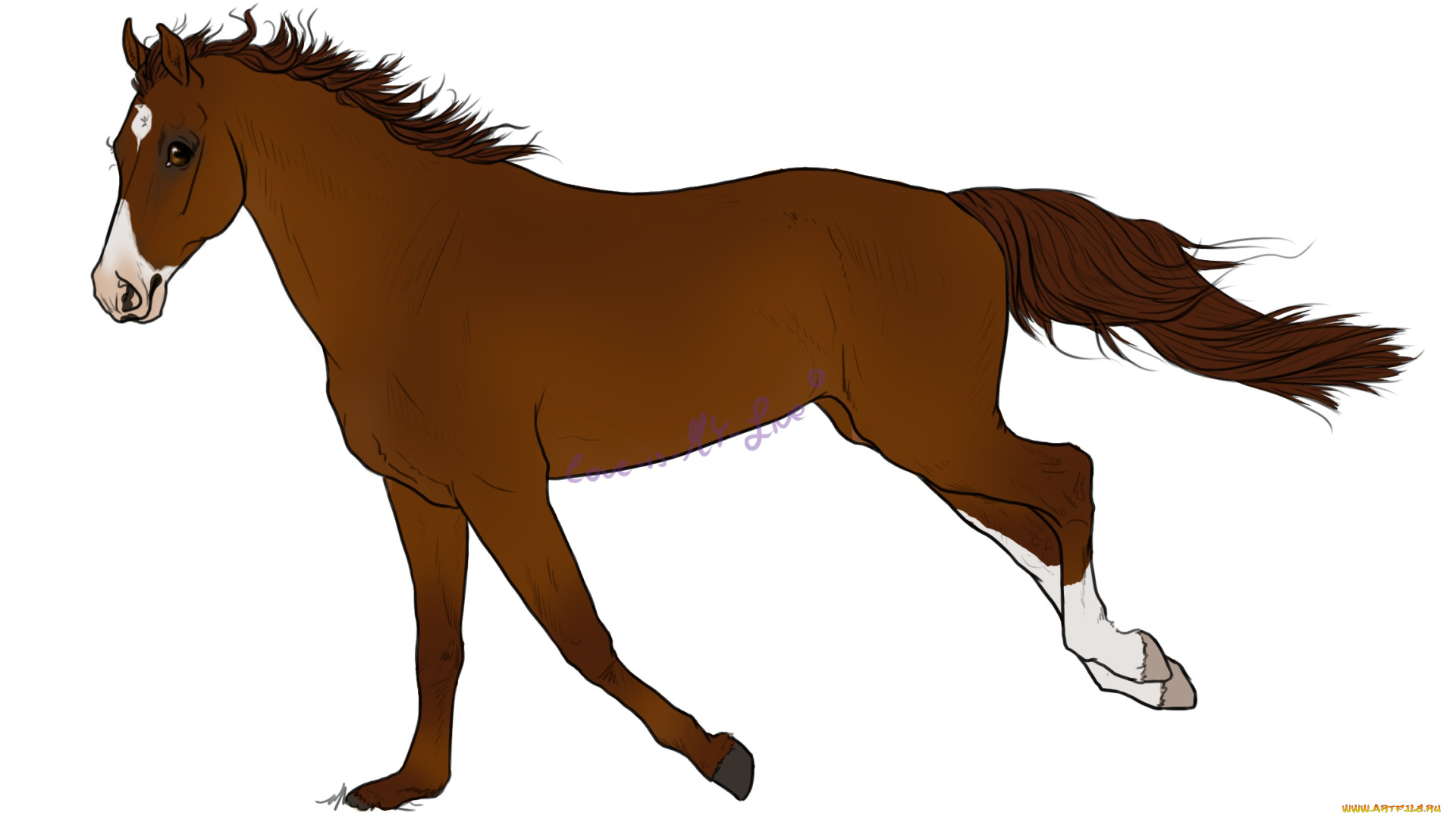 рисованные, животные, лошади, лошадь