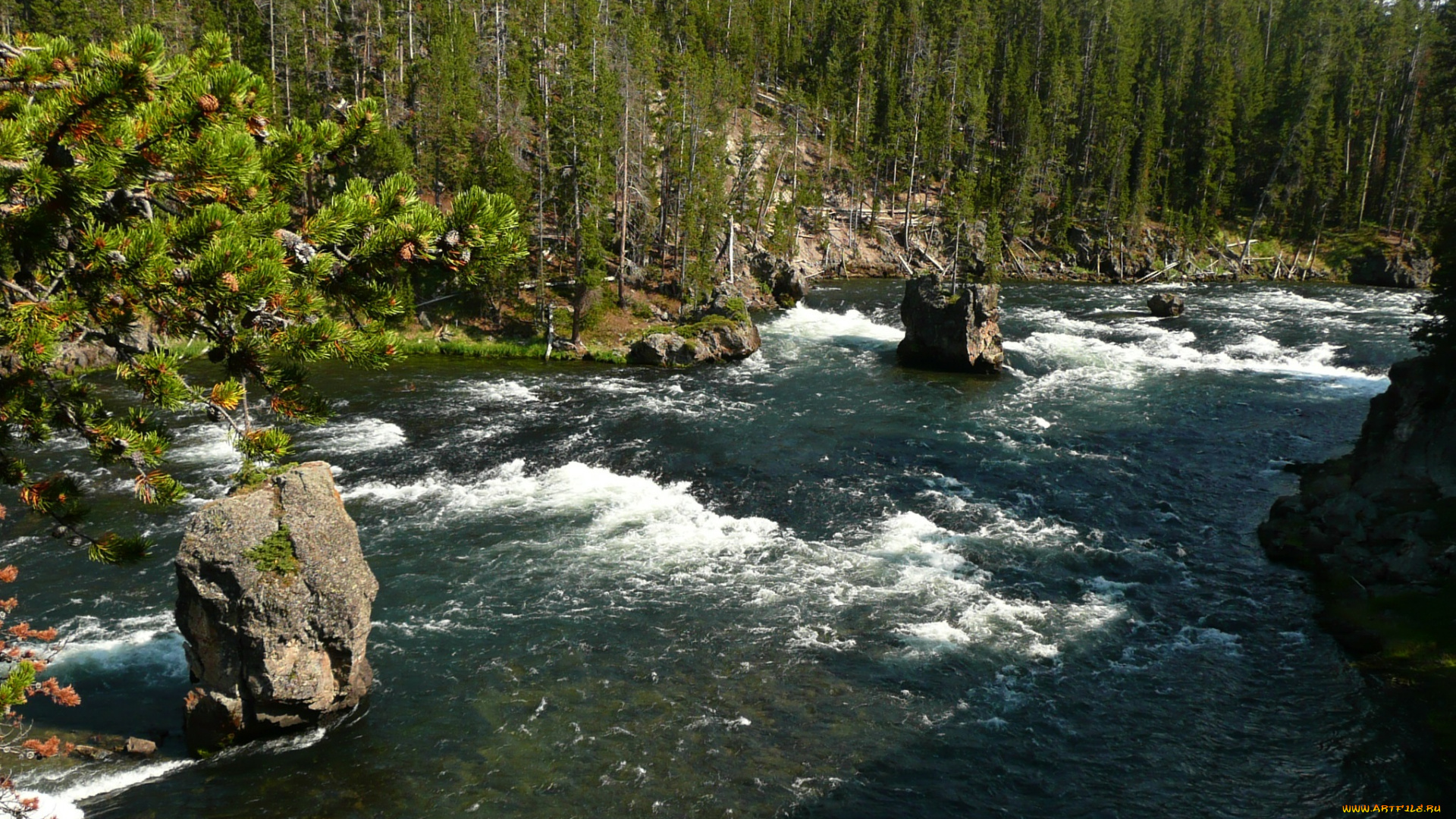 yellowstone, river, природа, реки, озера, лес, река, камни, скалы