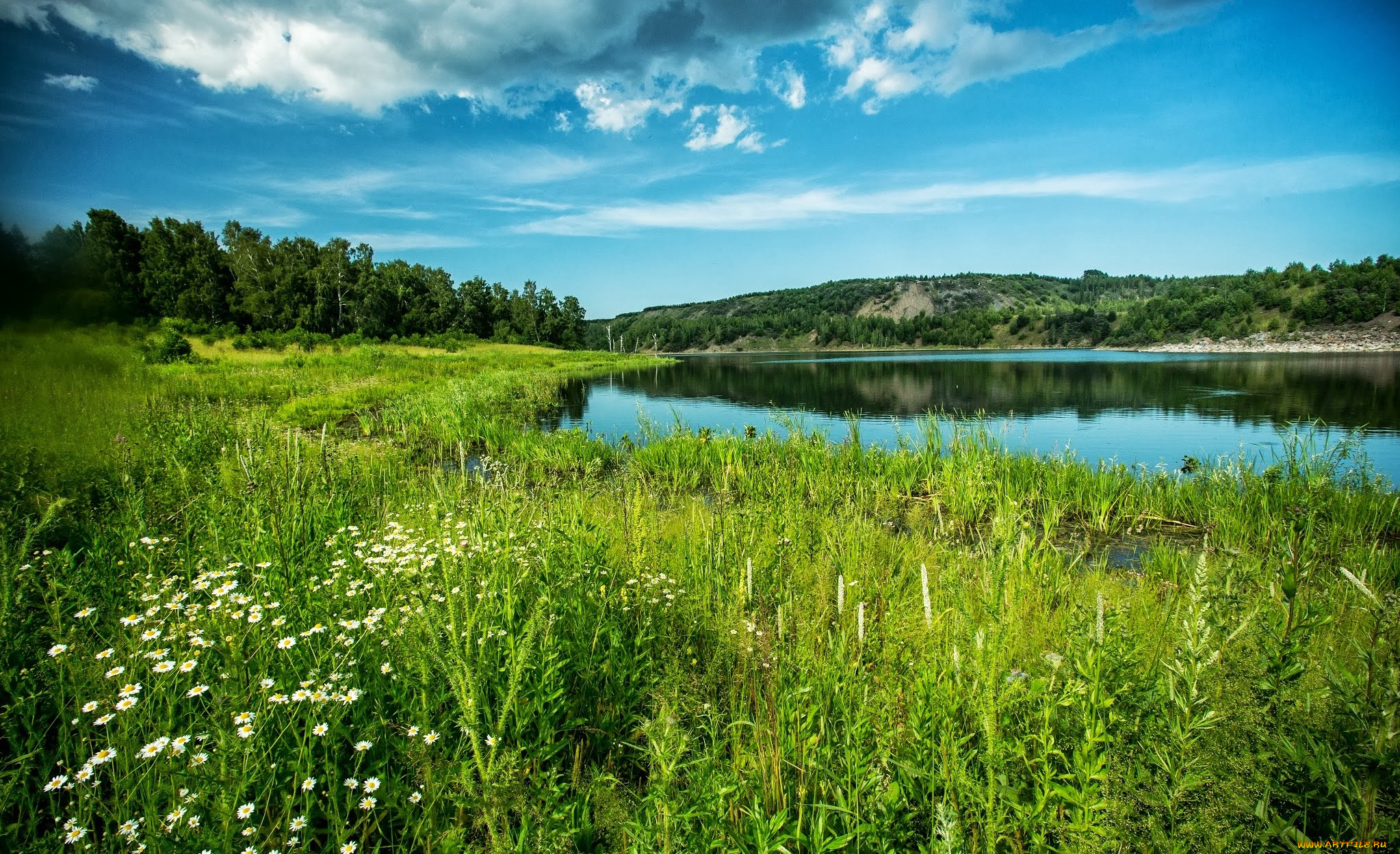 природа, реки, озера, облака, река, лес, берег, луг, трава, цветы